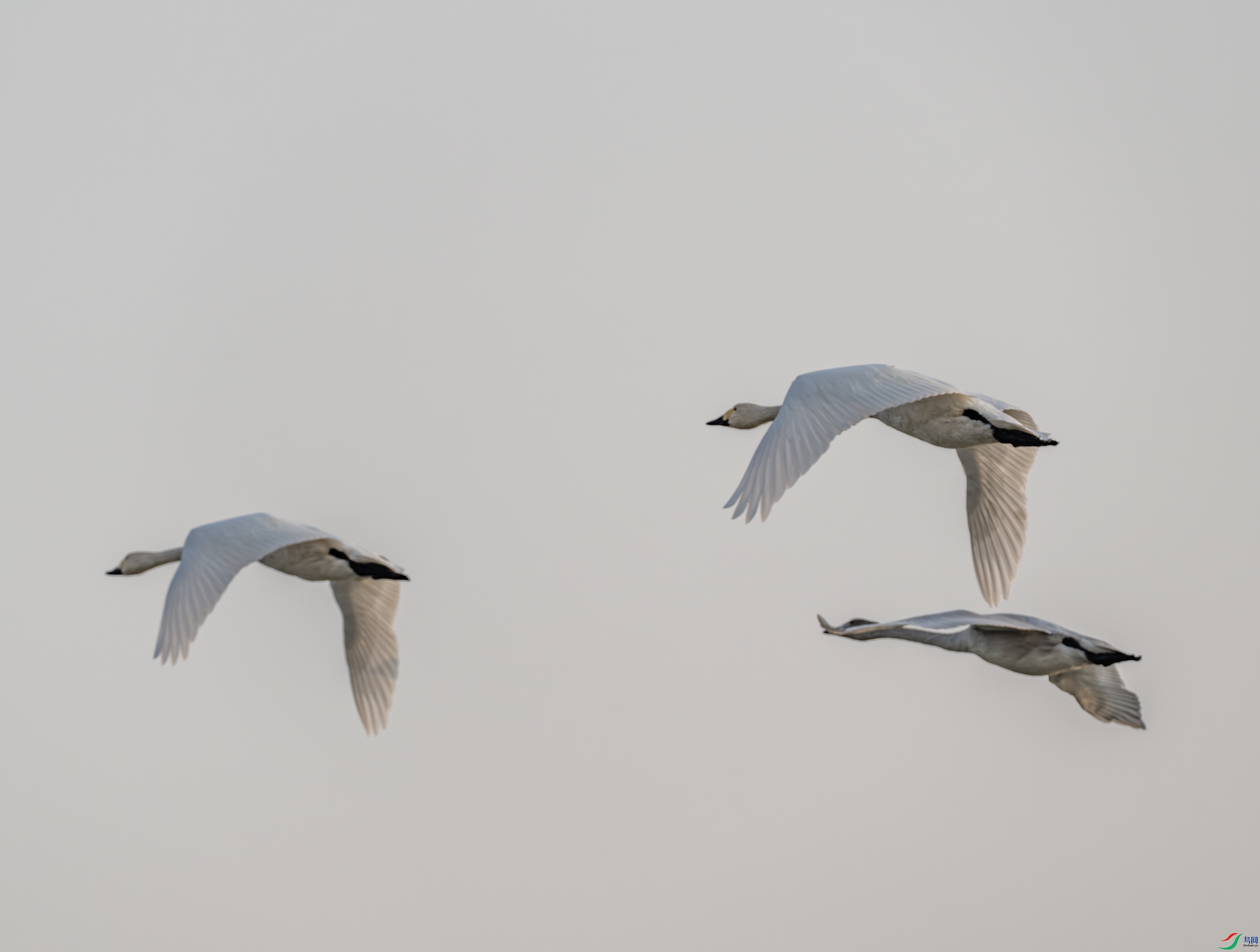 �����-03-5.jpg