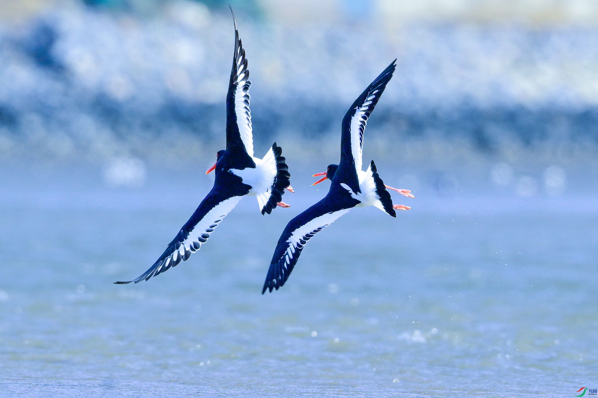_DSC4054x.jpg
