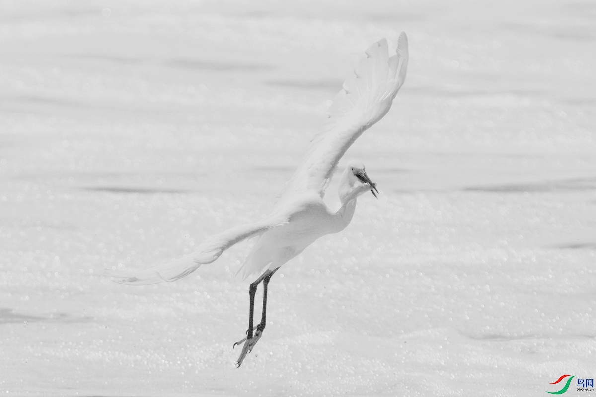_DSC7653zz_������С.jpg