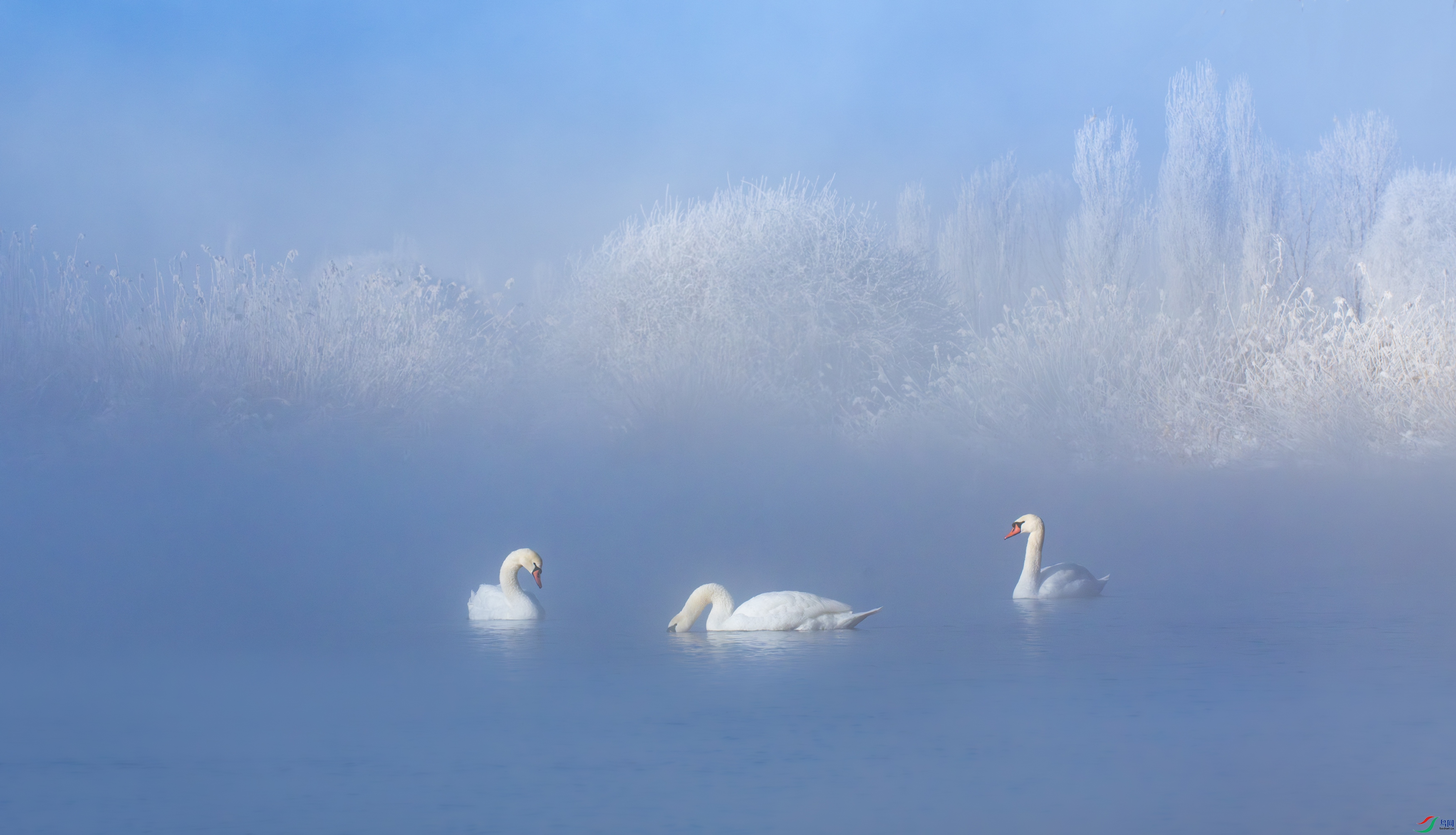 DSC_4710-1.jpg