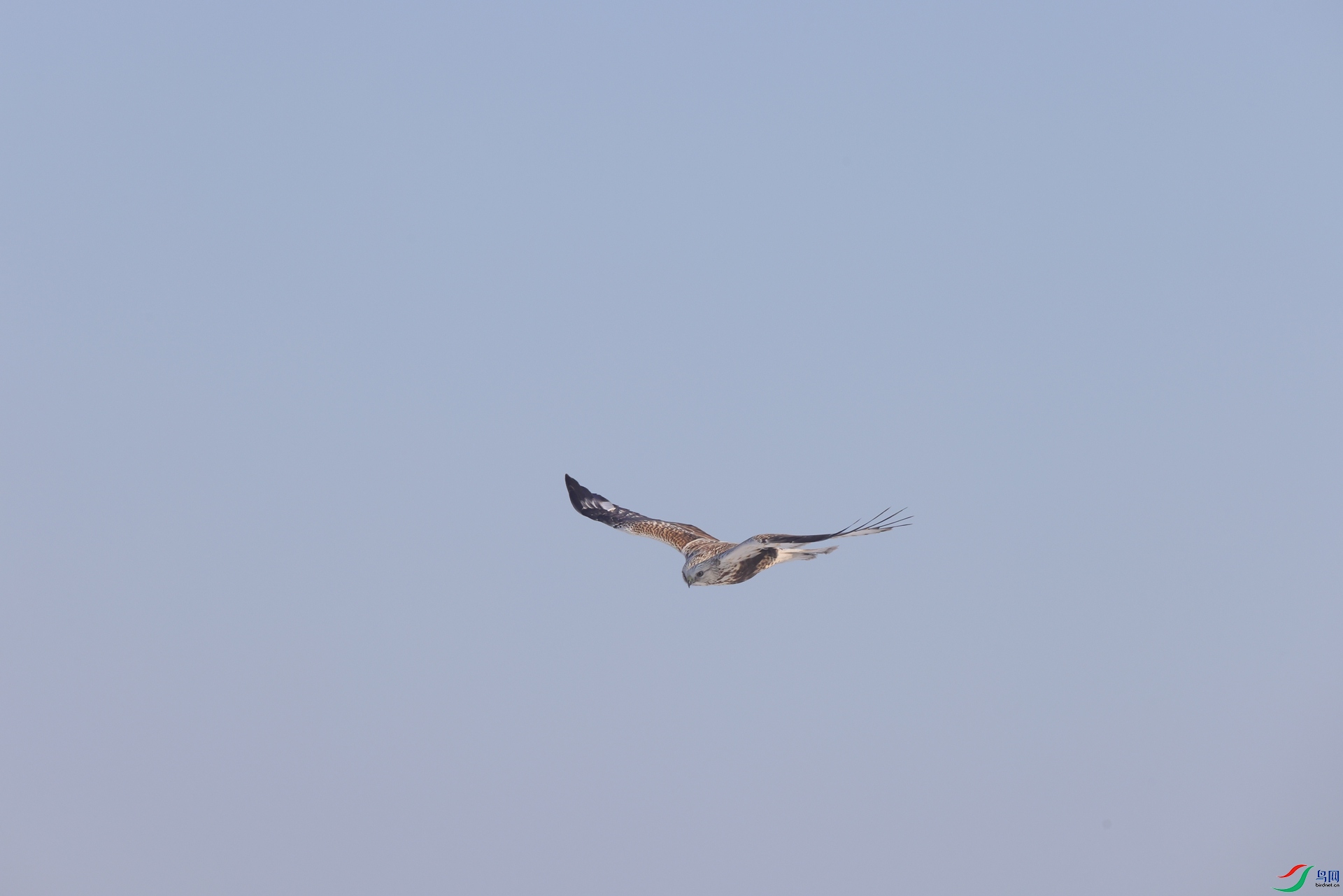 2F5A1014.JPG