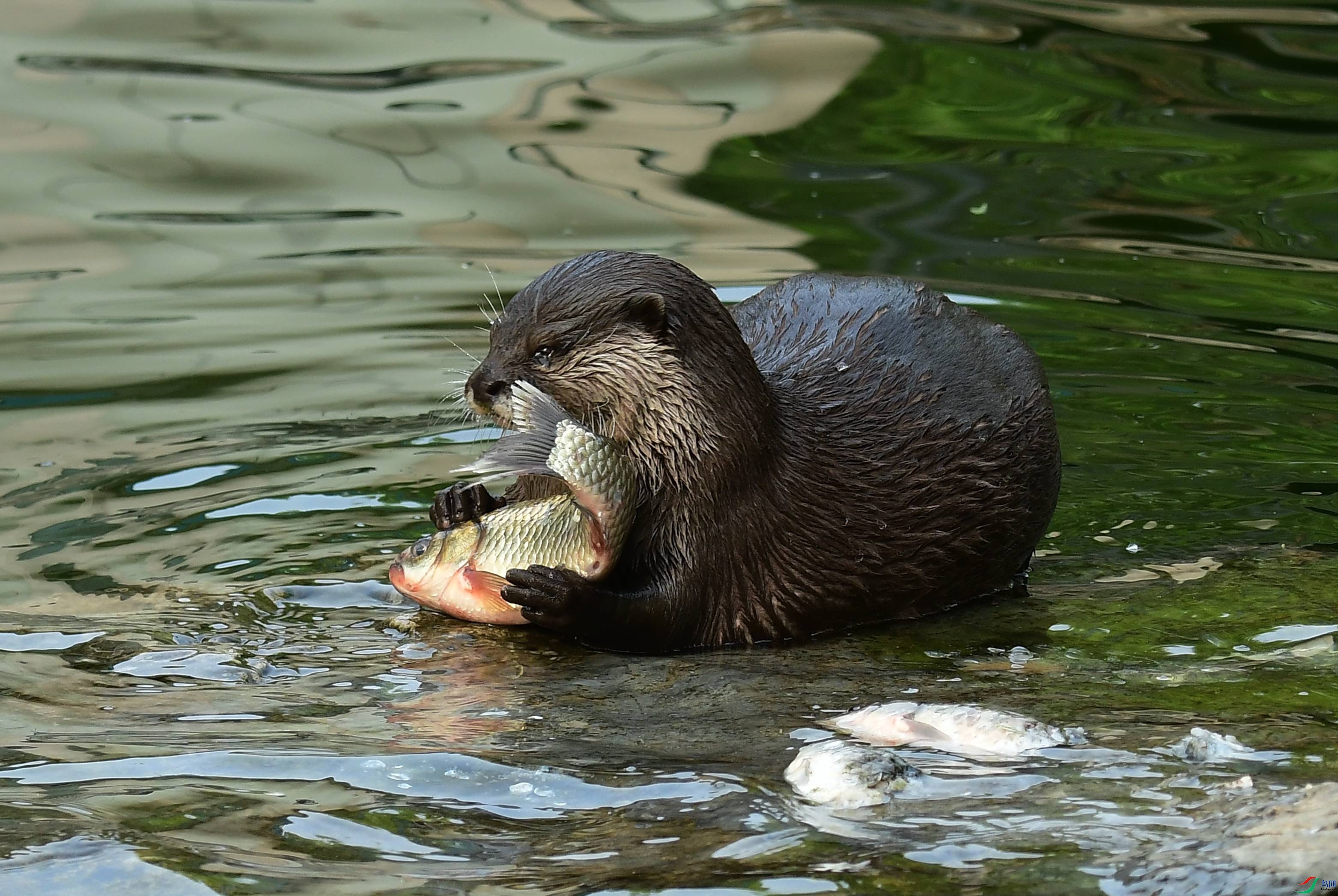 DSC_0641.JPG