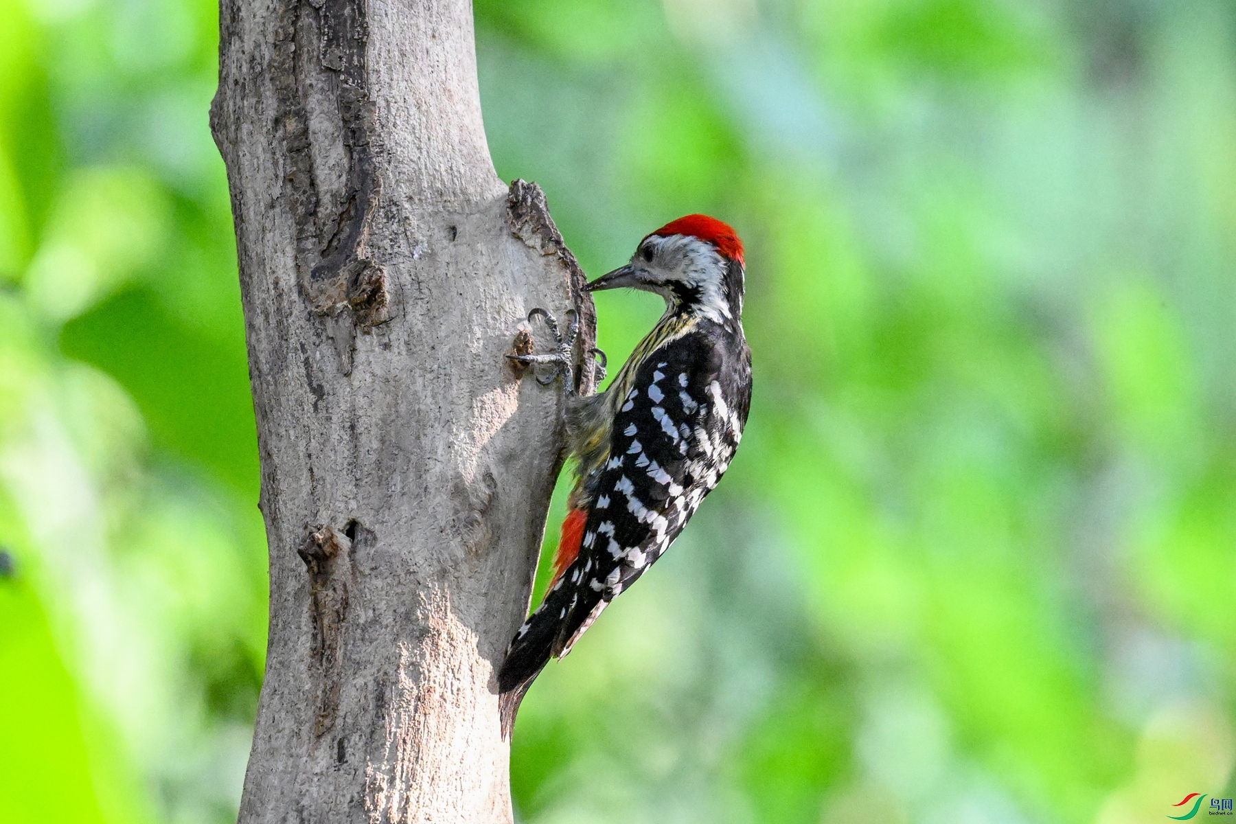 DSC_5574.JPG