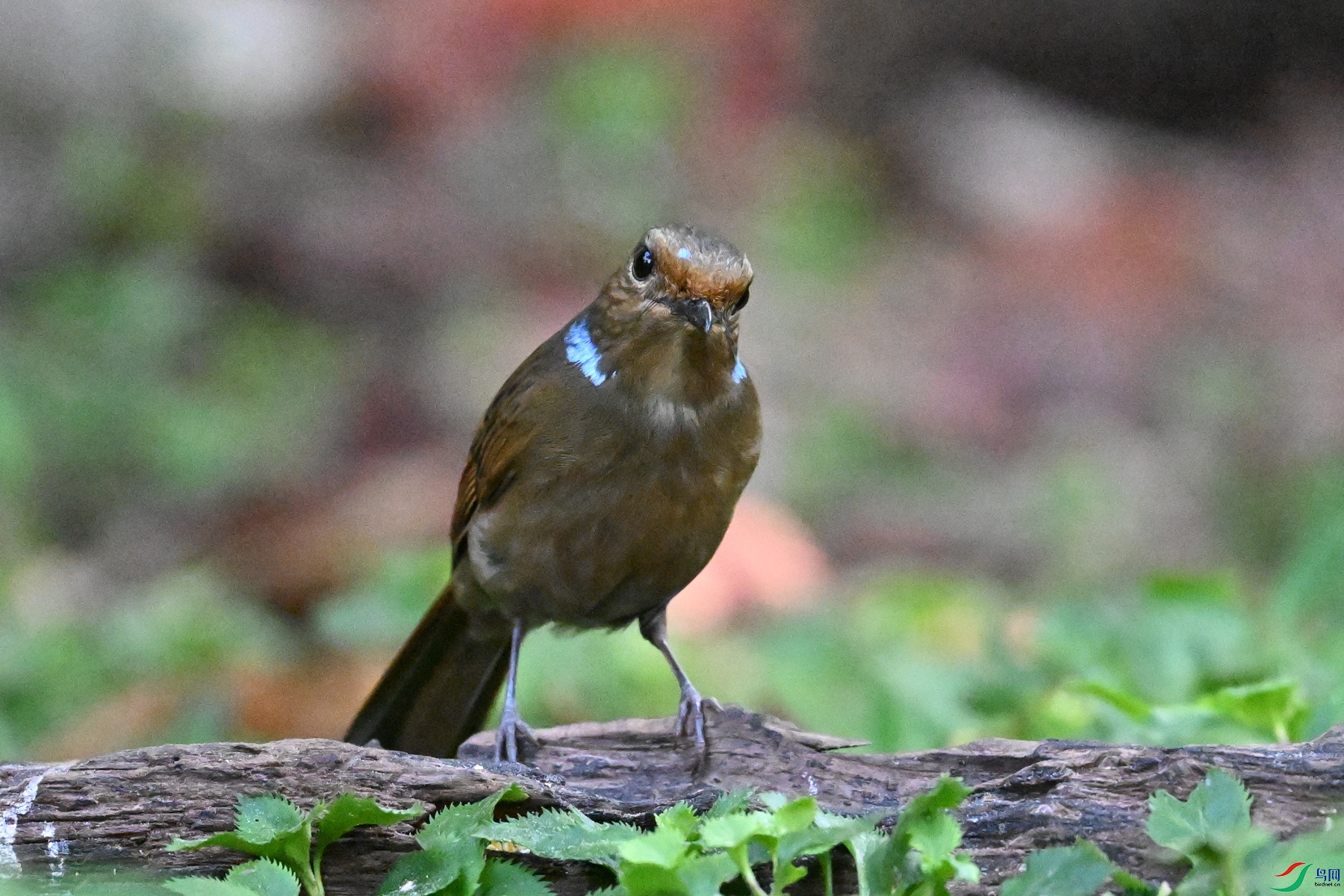 DSC_5578.JPG