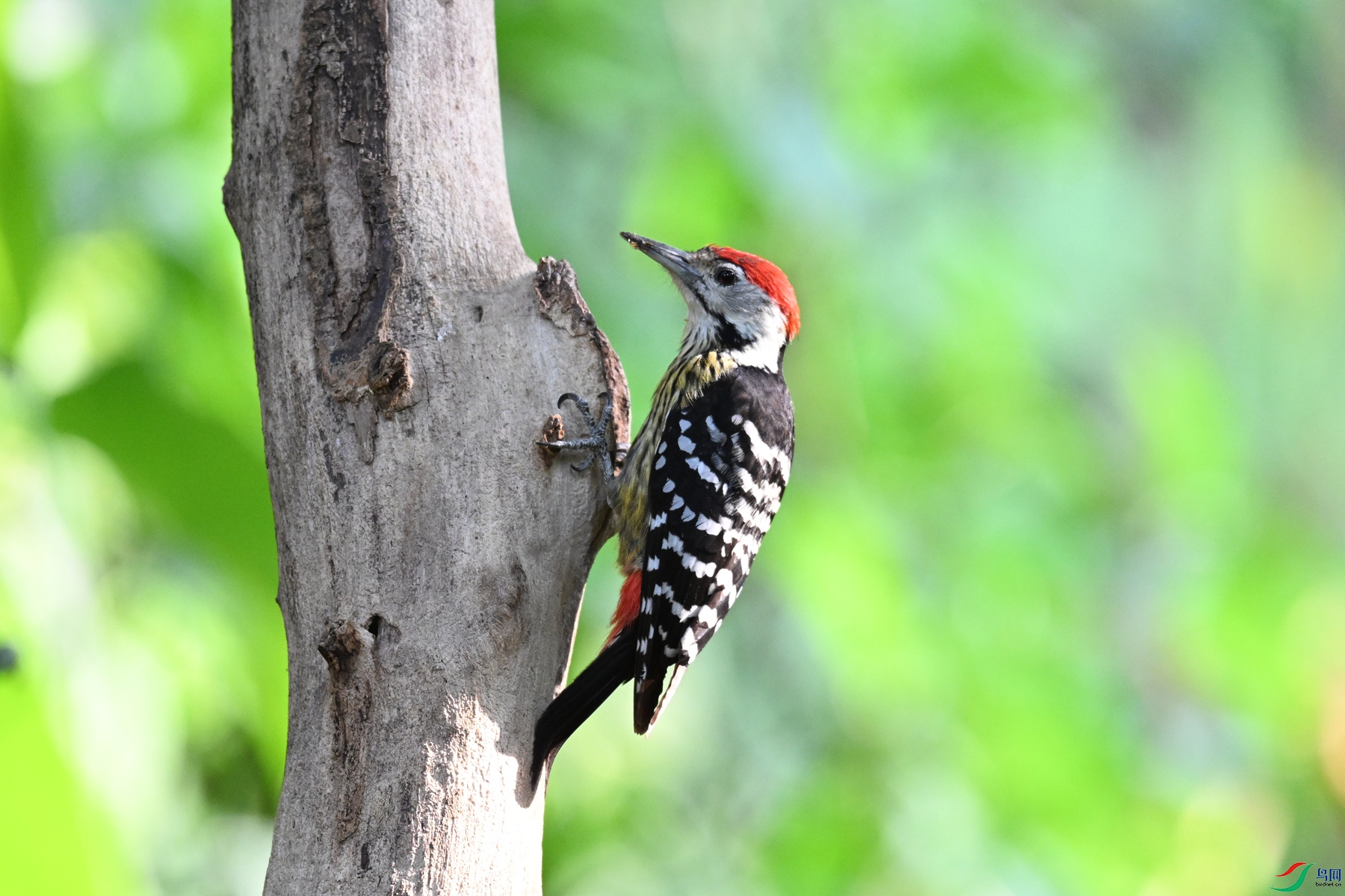 DSC_5581.JPG