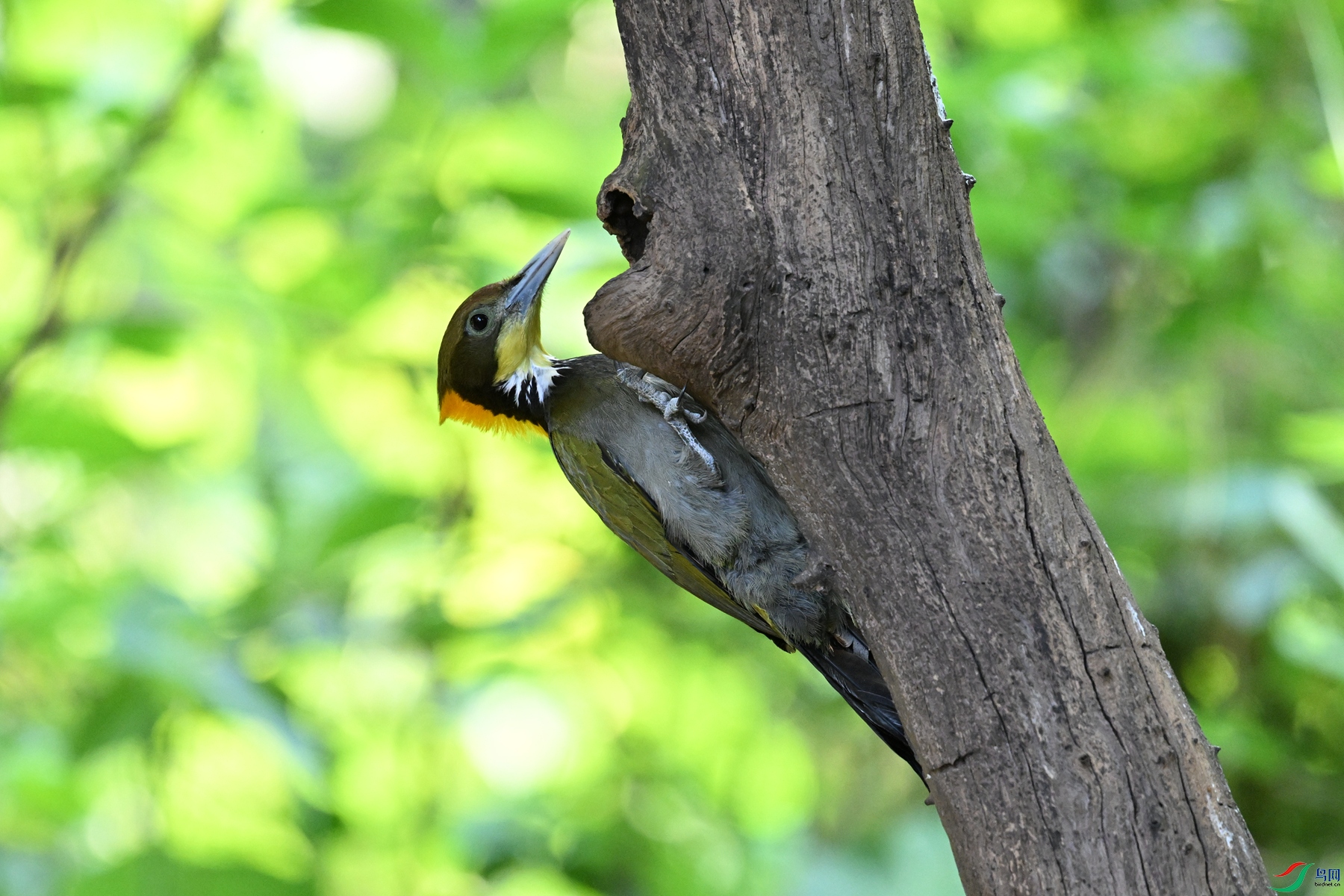 DSC_5598.JPG