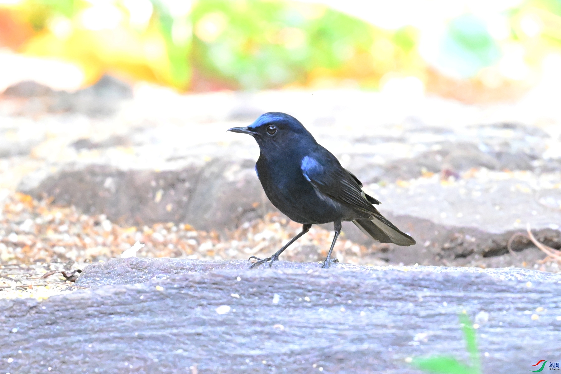 DSC_5620.JPG
