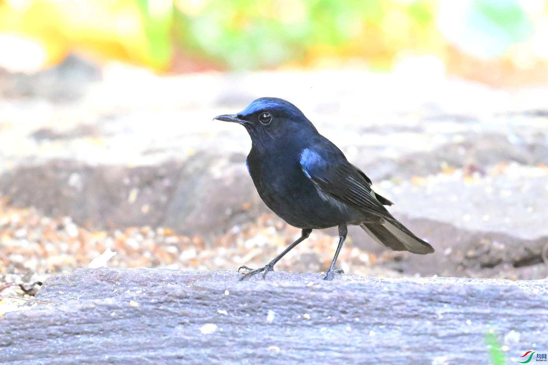 DSC_5622.JPG
