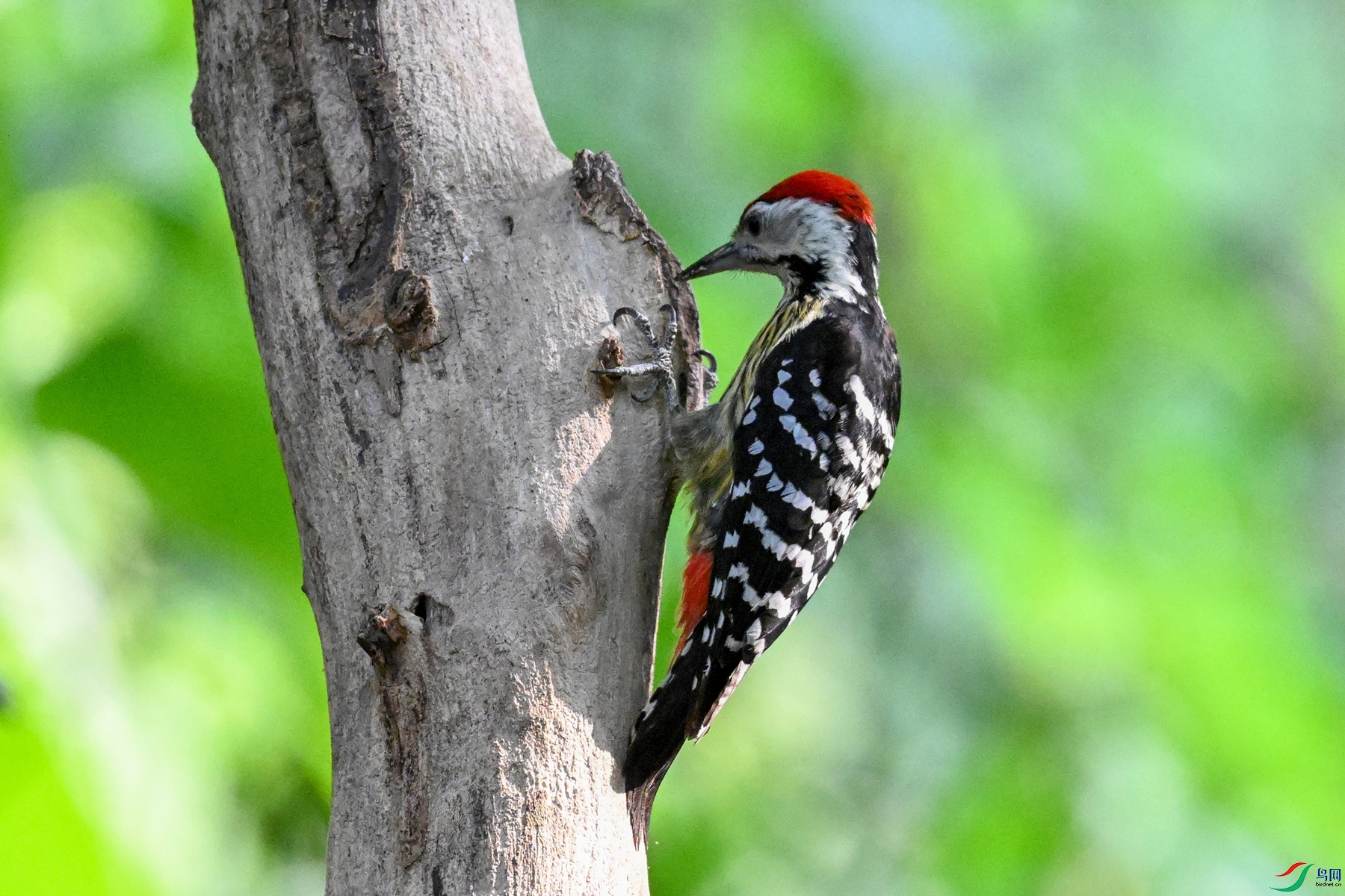 DSC_5575.JPG
