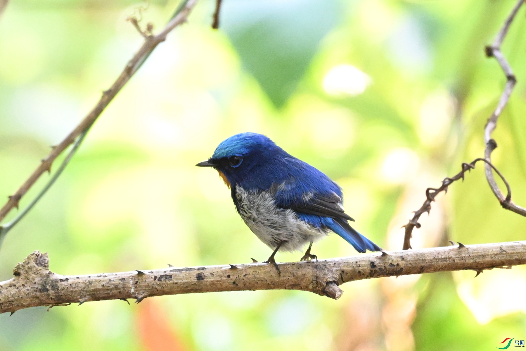 DSC_5591.JPG