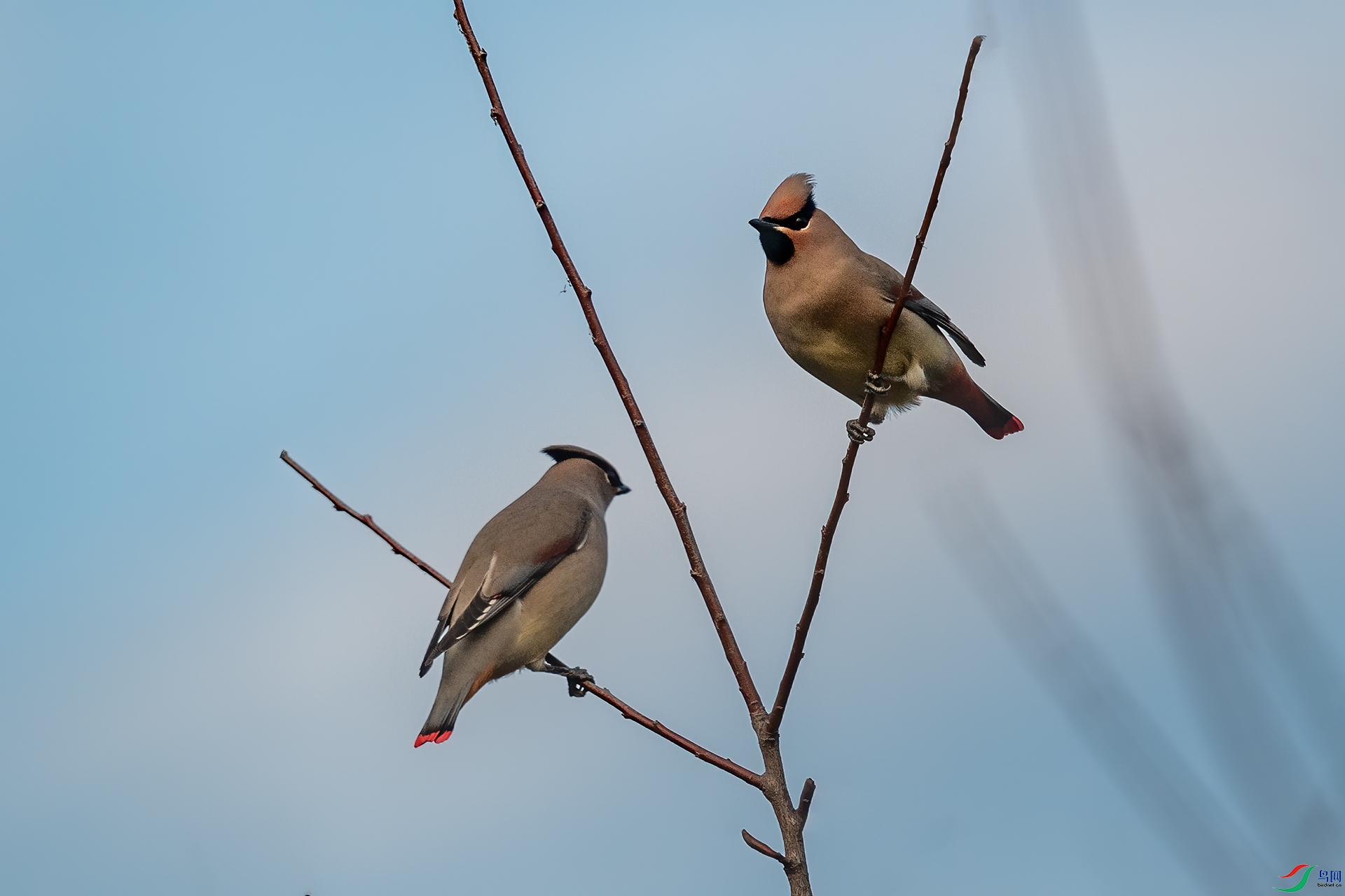 DSC_5458-1.jpg