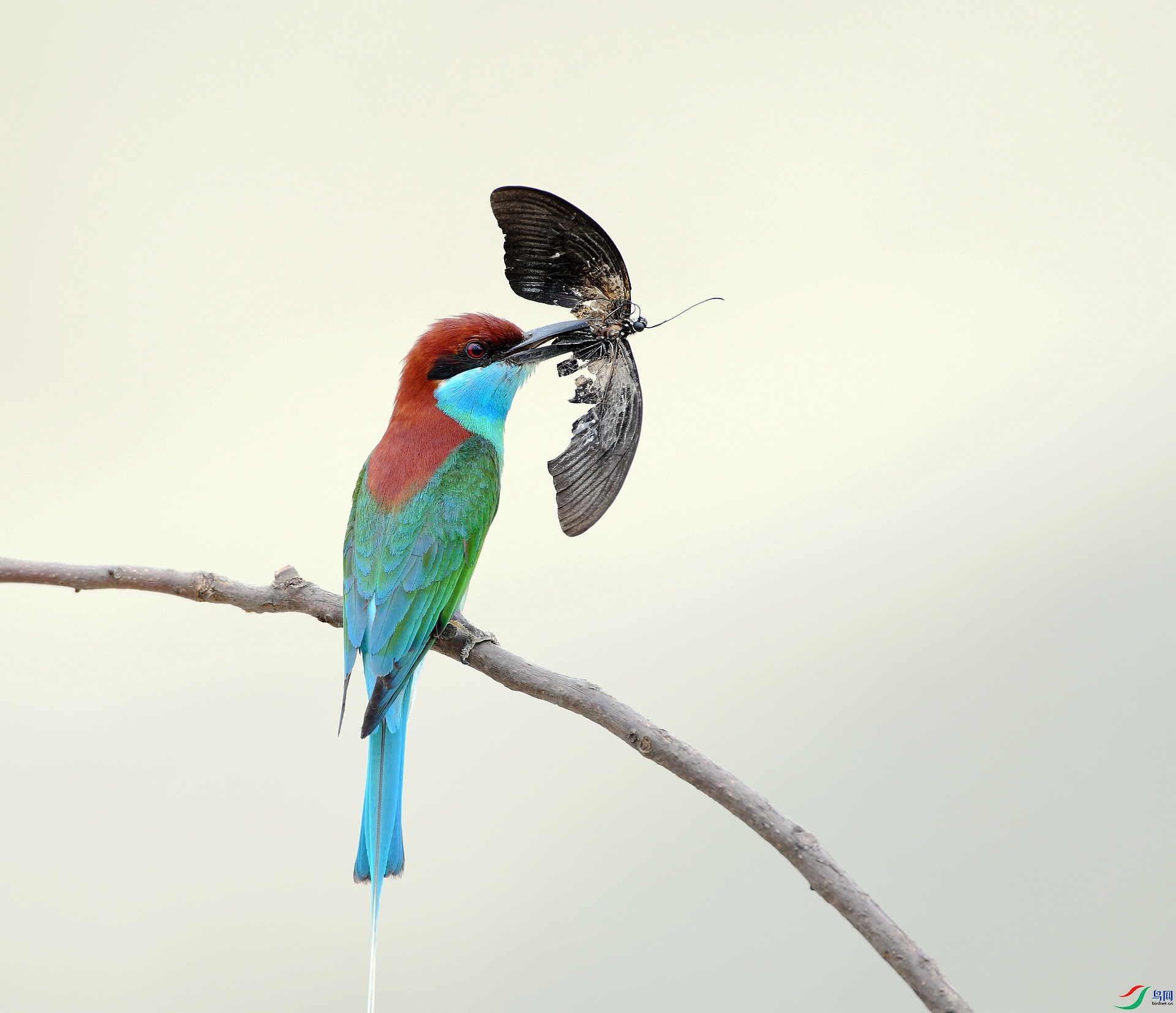 DSC_1821.jpg