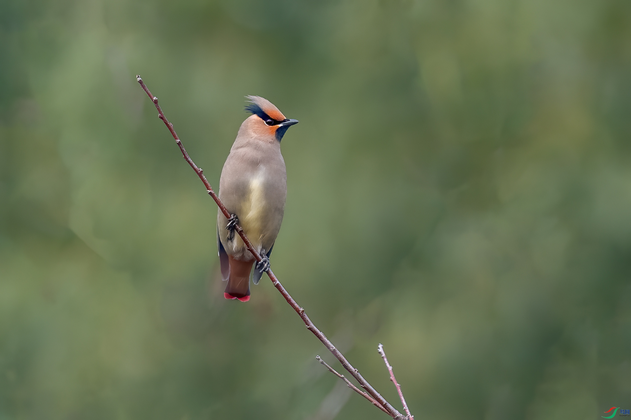 DSC_5574-1.jpg