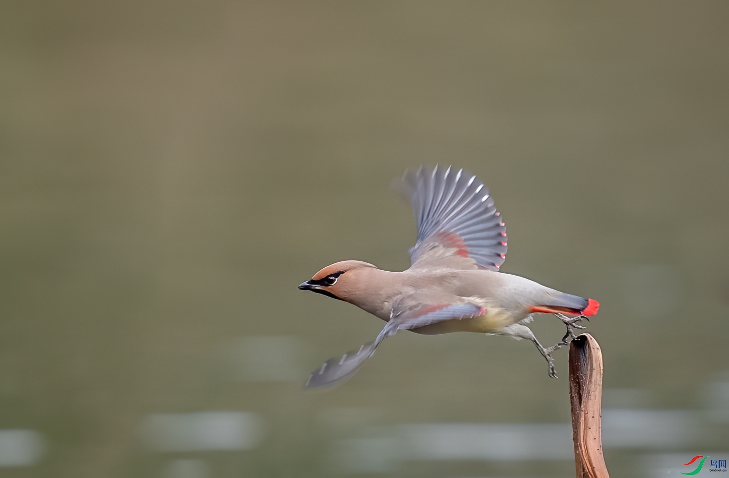 DSC_5792-1.jpg
