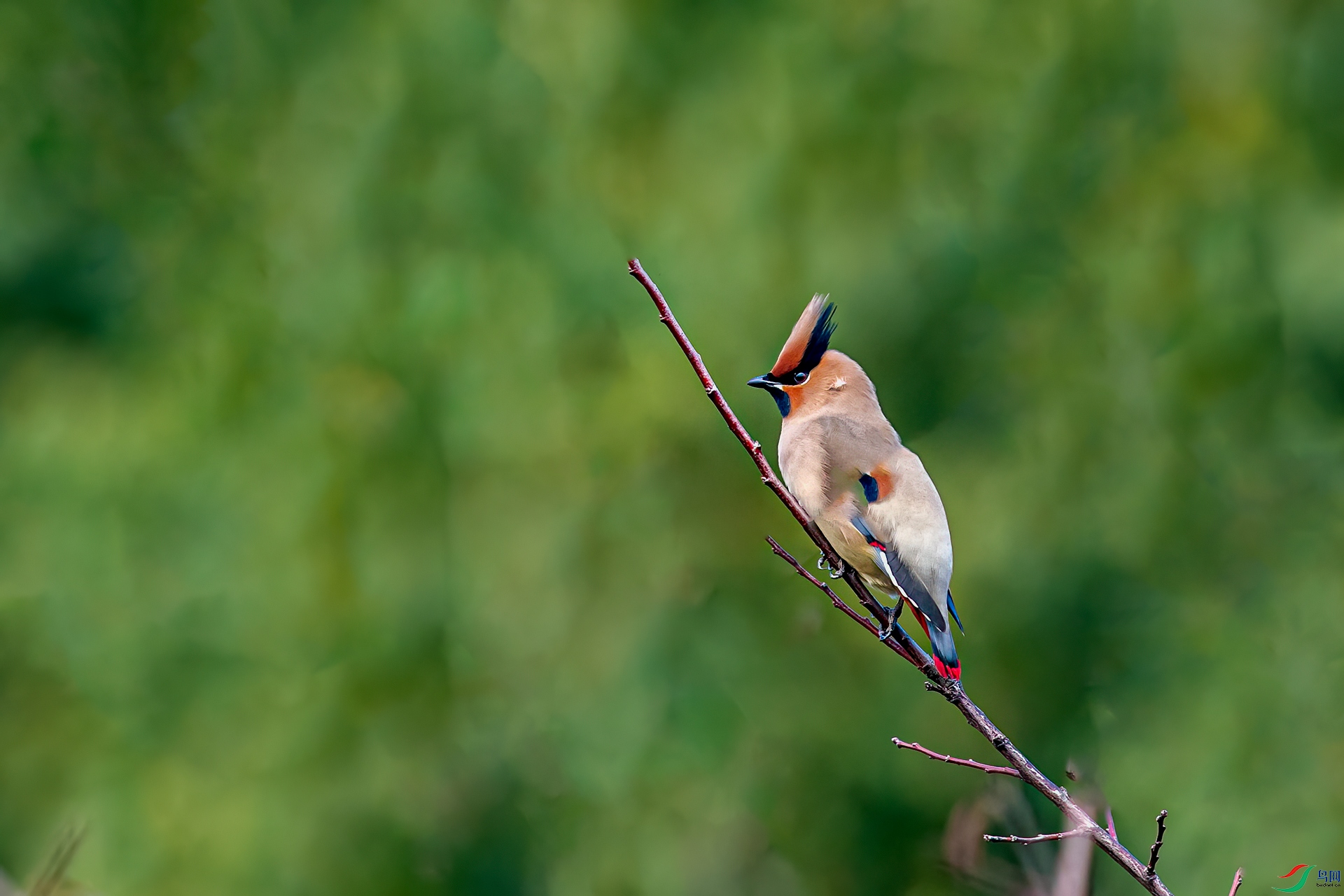 DSC_5544-1.jpg