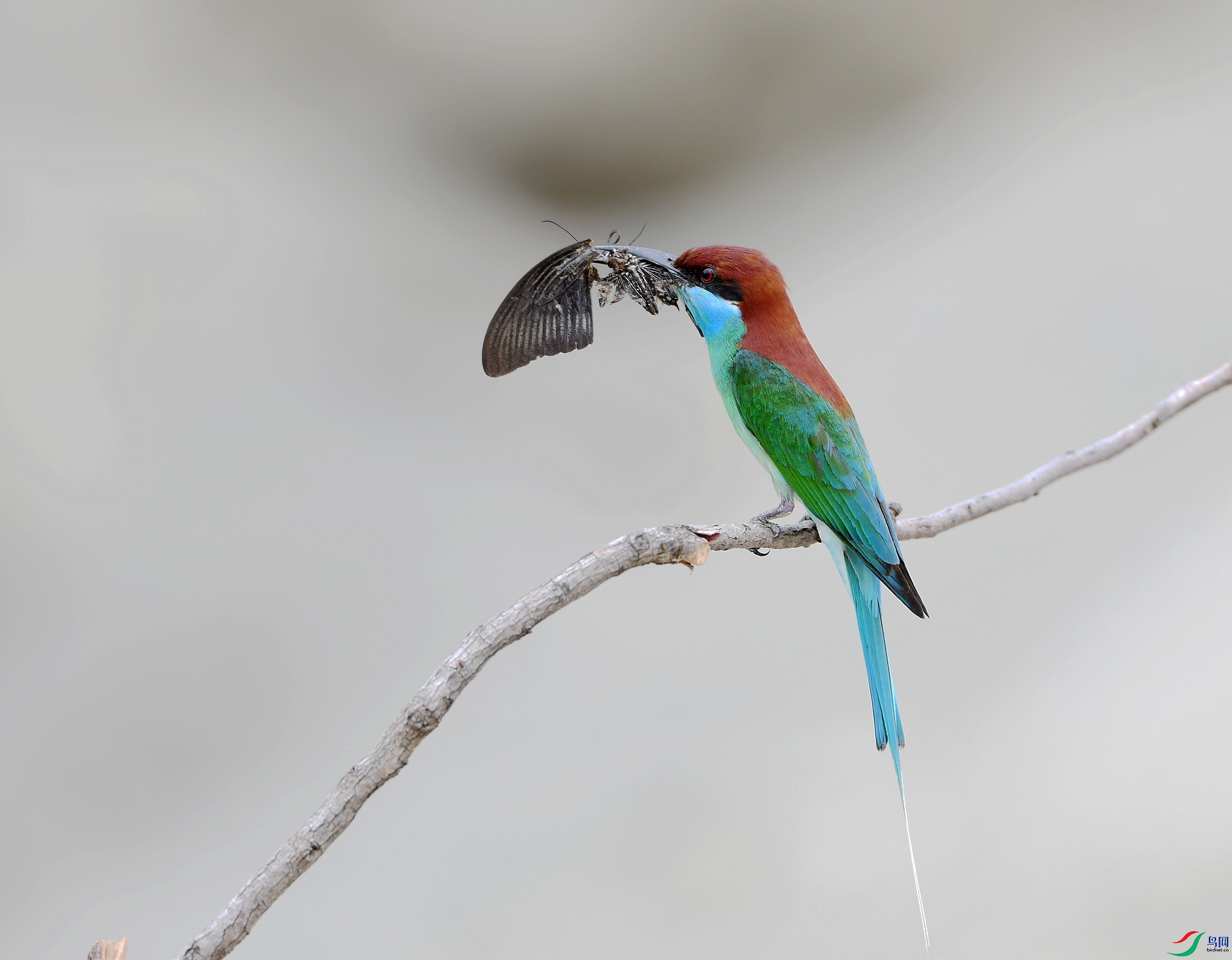 DSC_1710.jpg