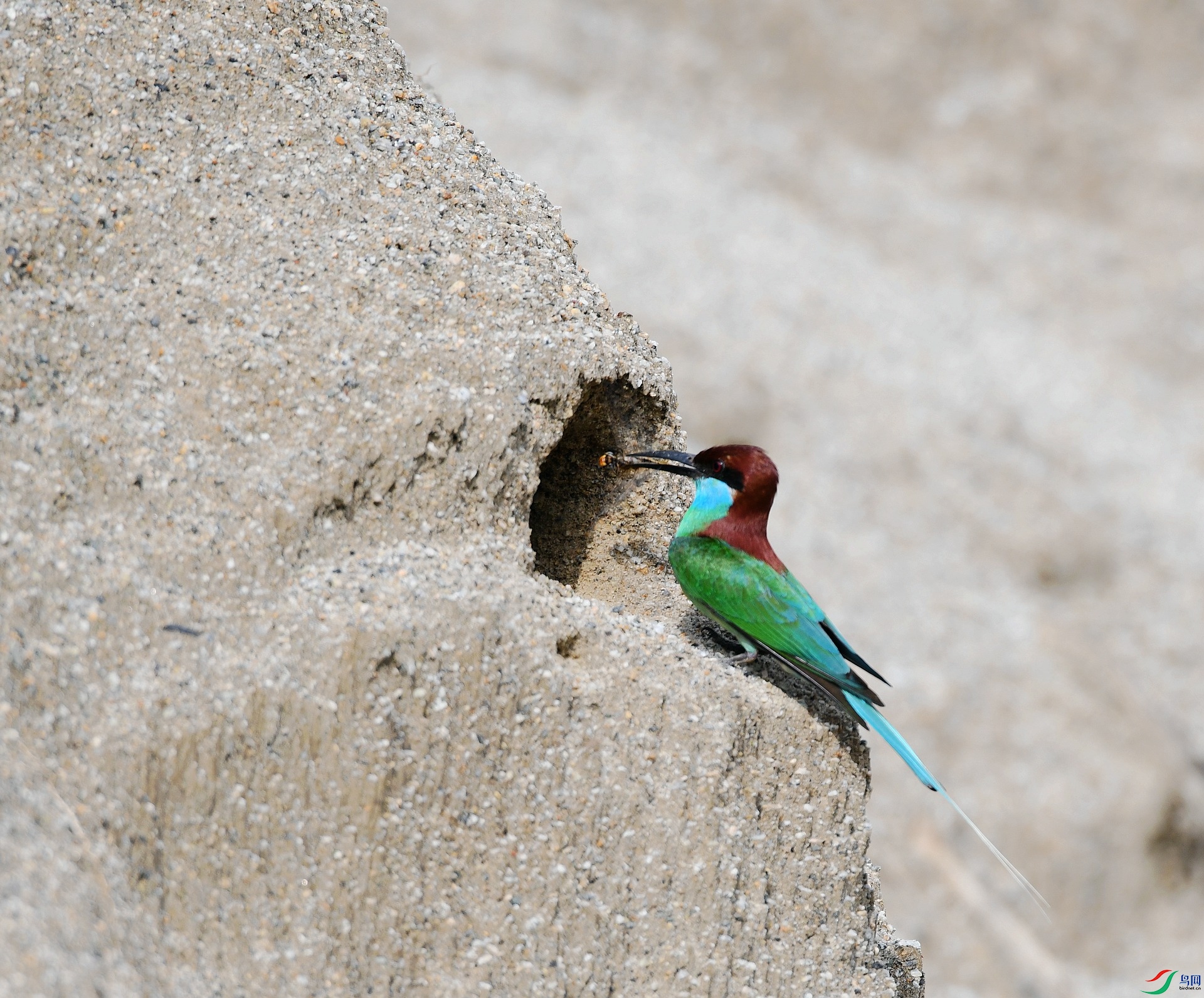 DSC_1660.jpg