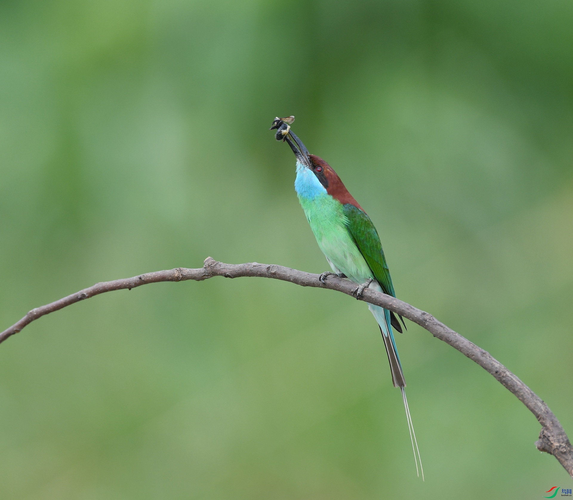 DSC_1075.jpg