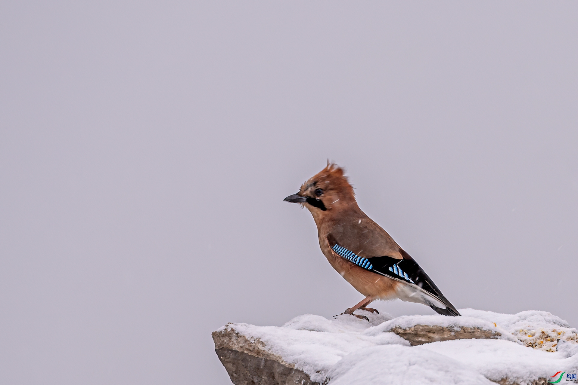 DSC_2622-11.jpg