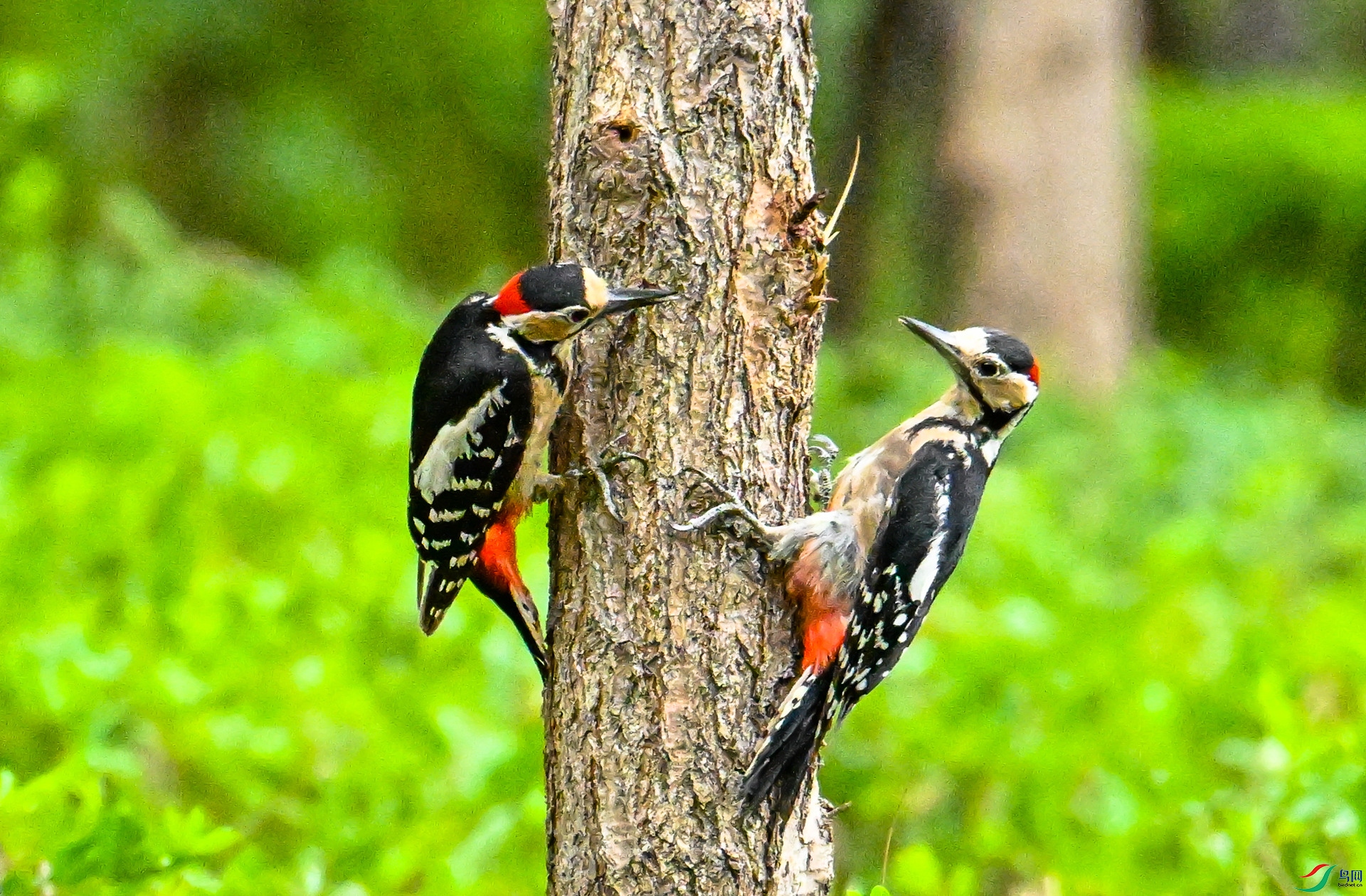 DSC_6129_����.jpg