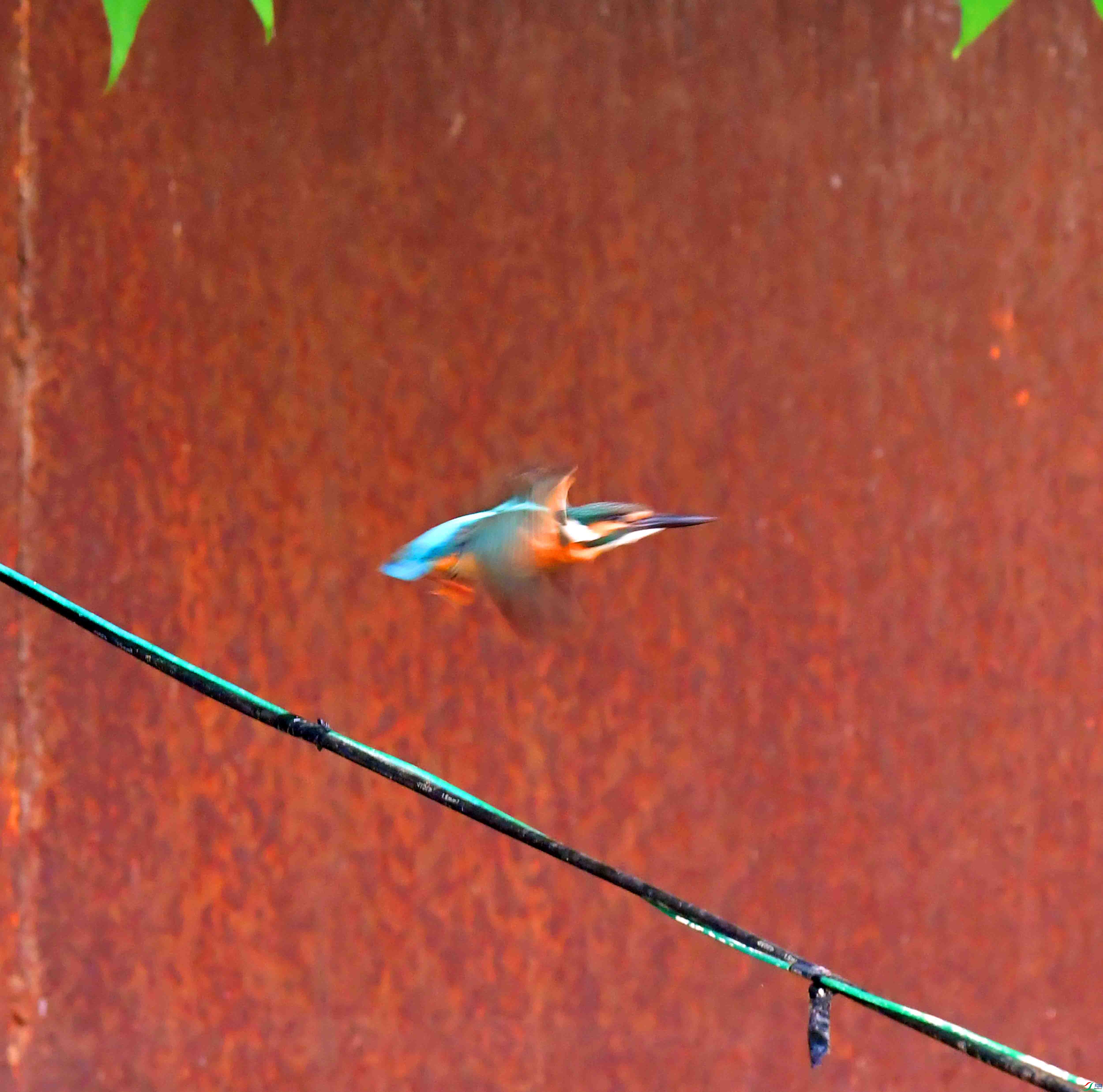 DSC_4358.JPG
