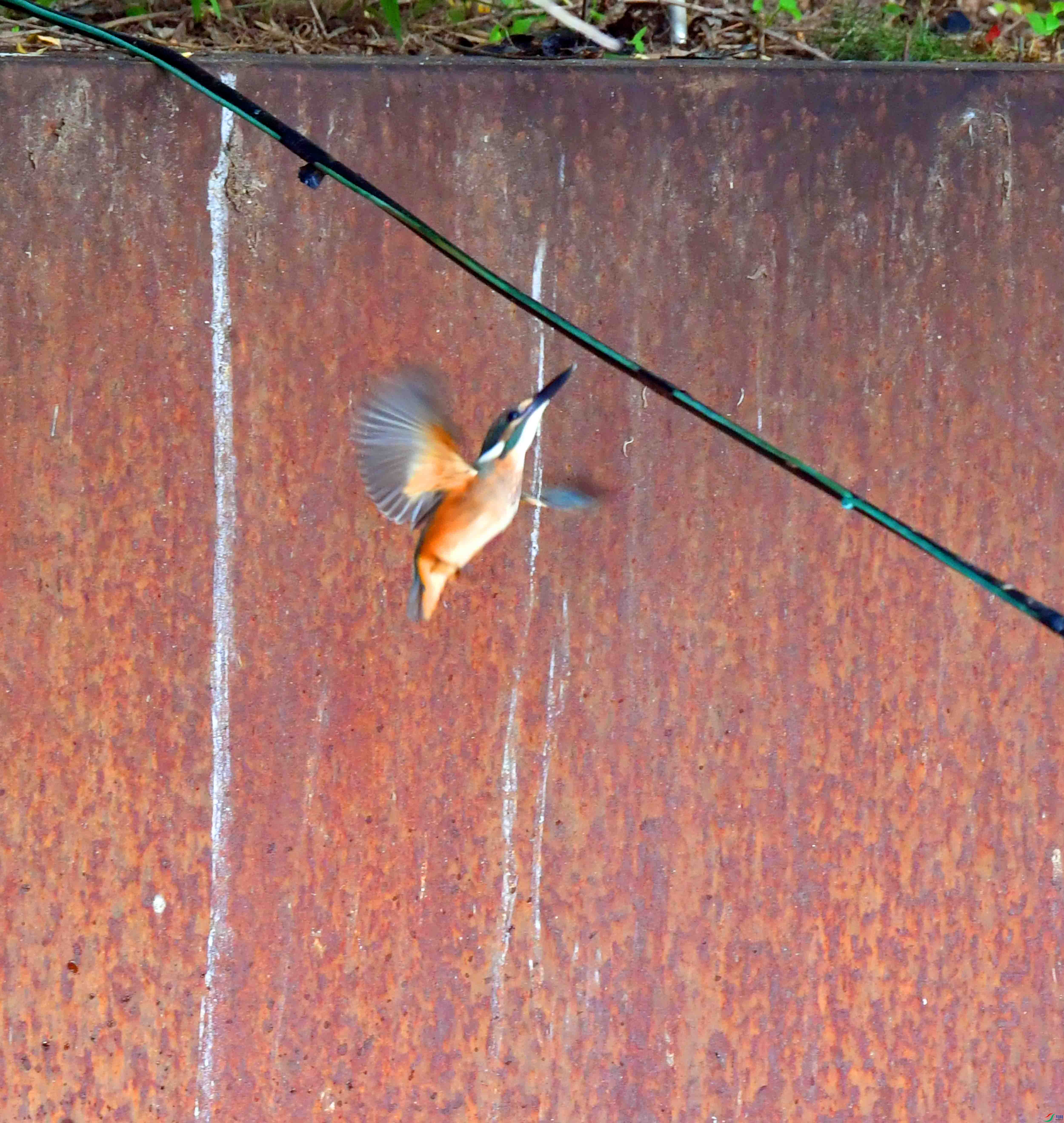 DSC_5282.JPG
