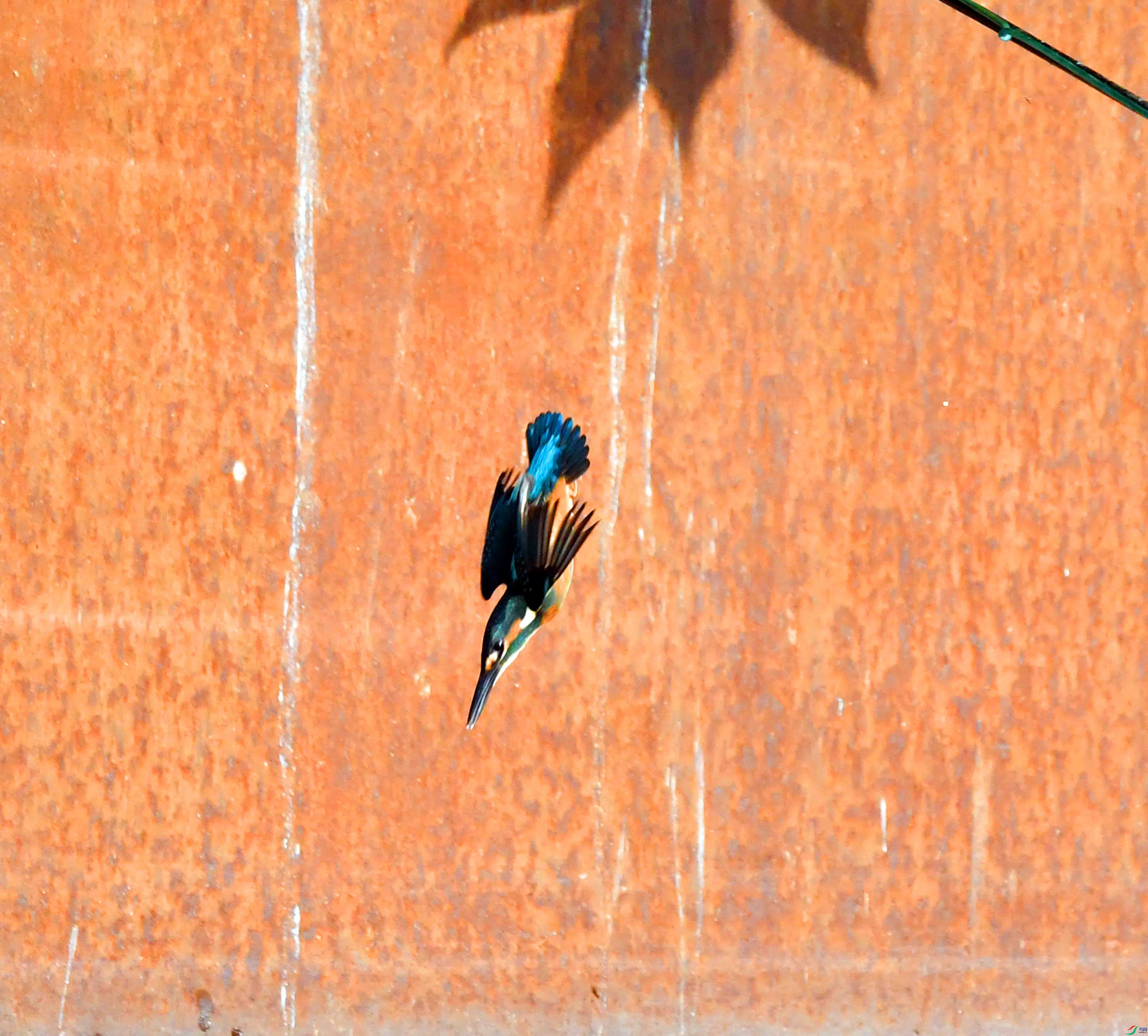 DSC_5316.JPG