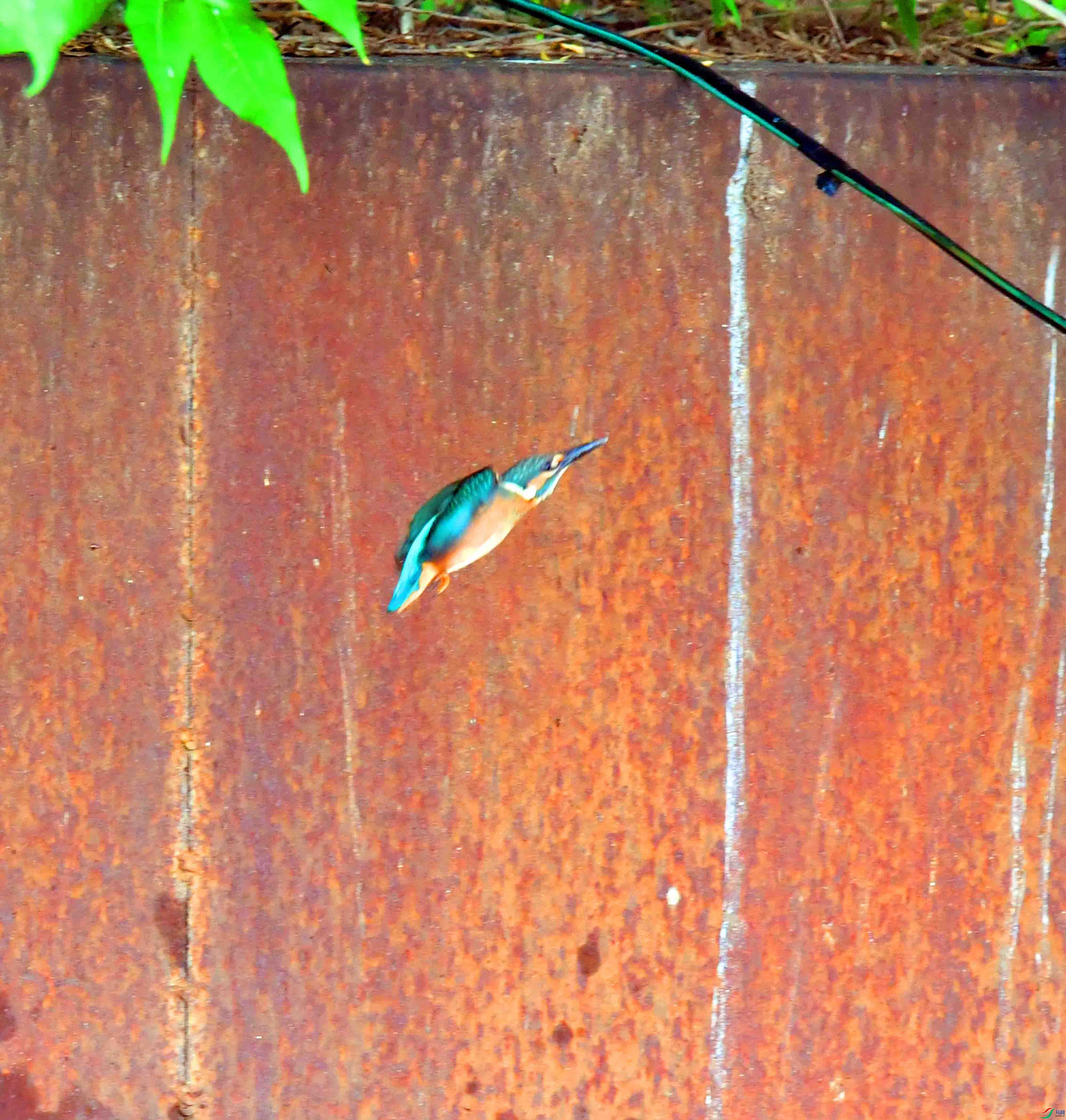 DSC_5287.JPG