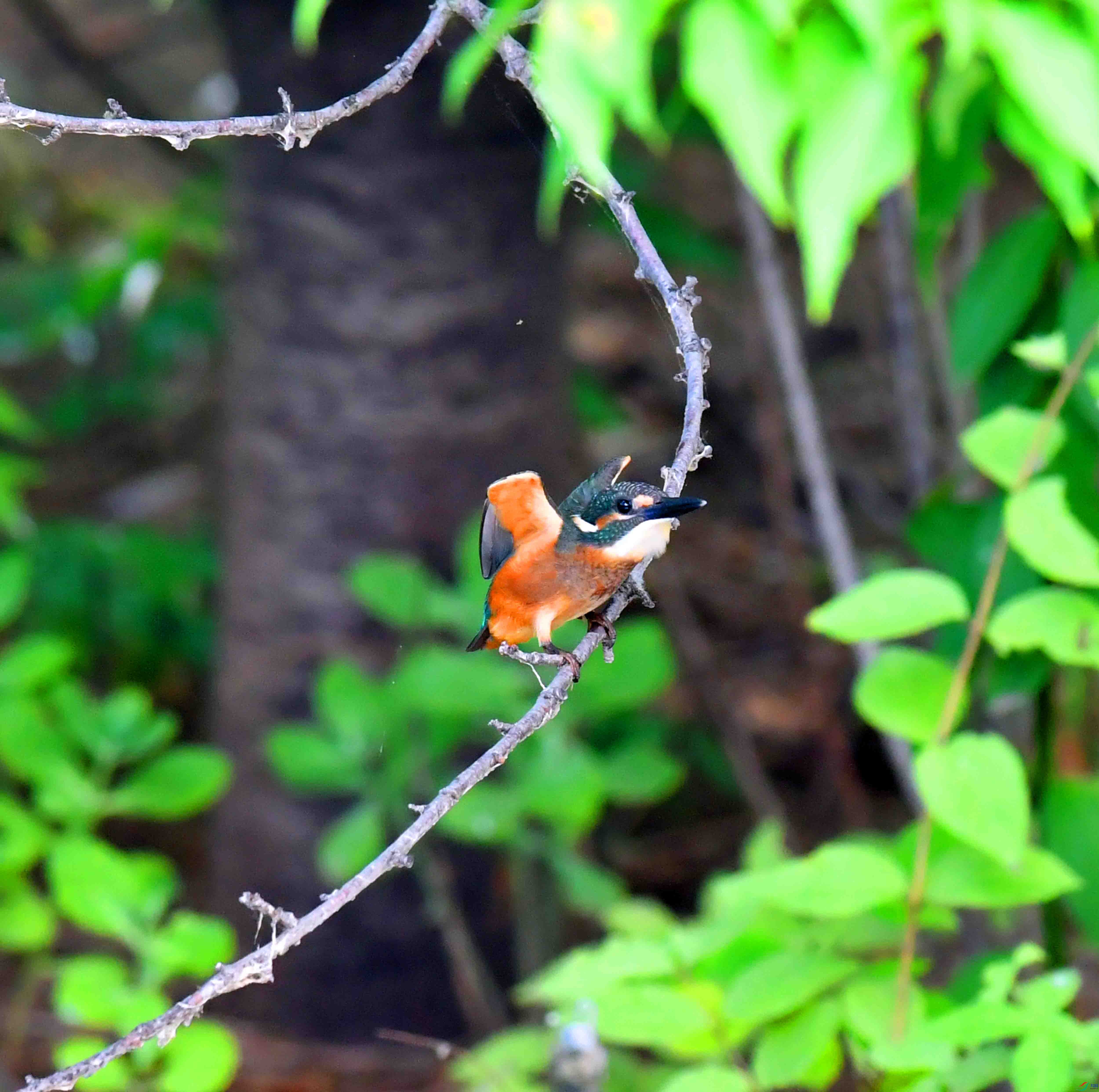 DSC_5354.JPG