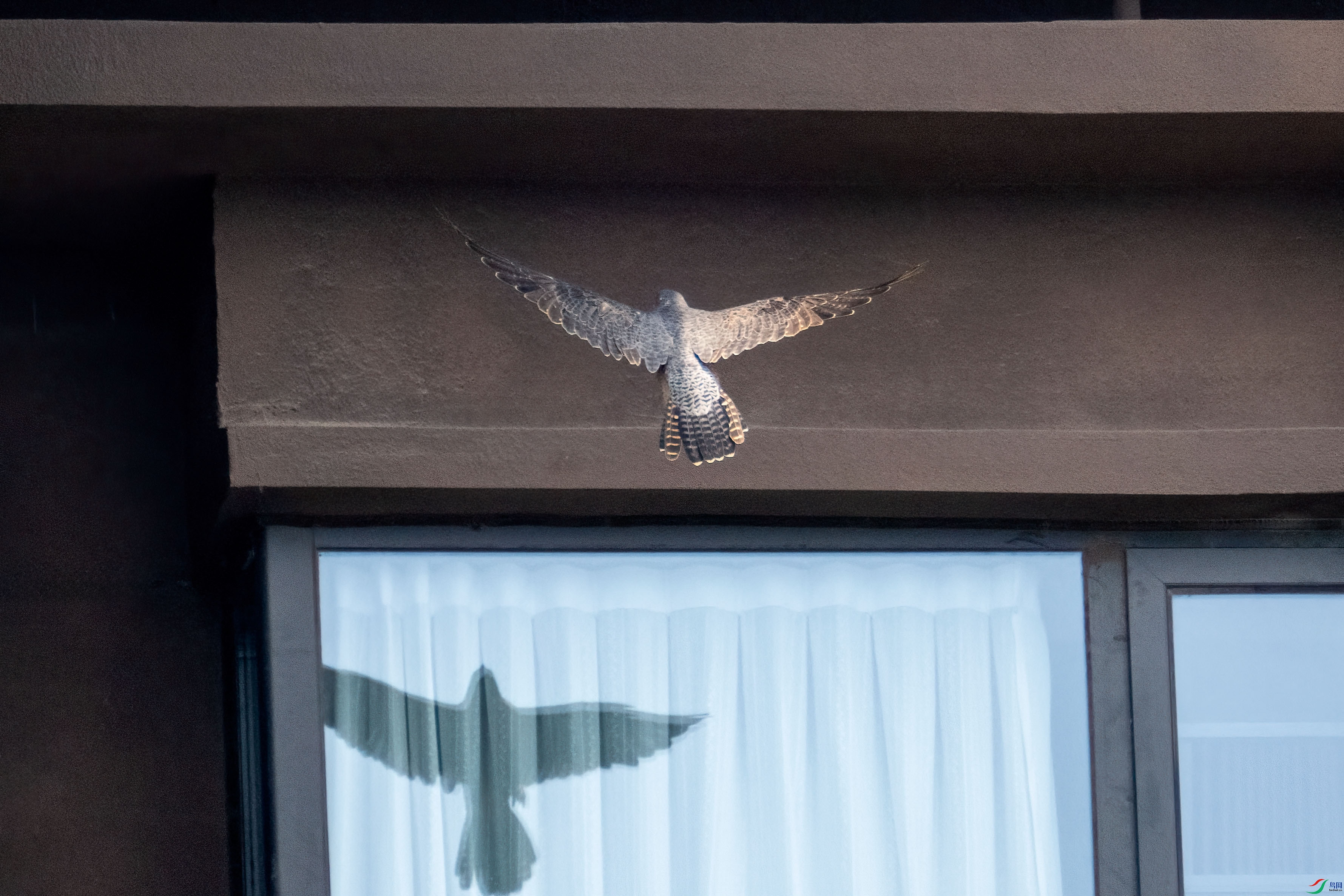 _DSC9632.jpg