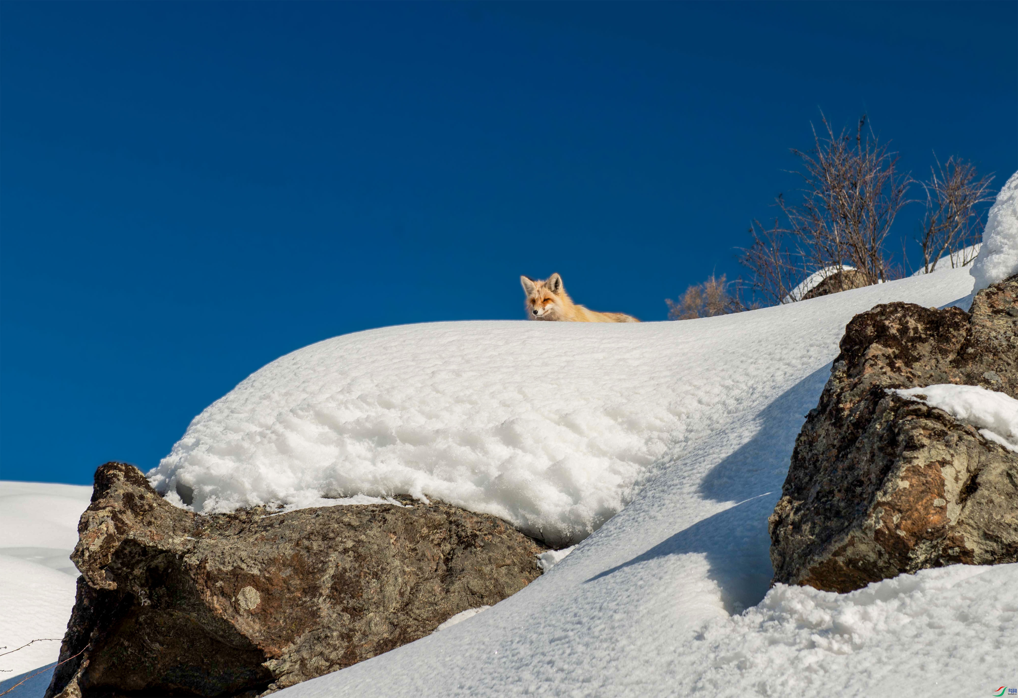 DSC_4518.jpg