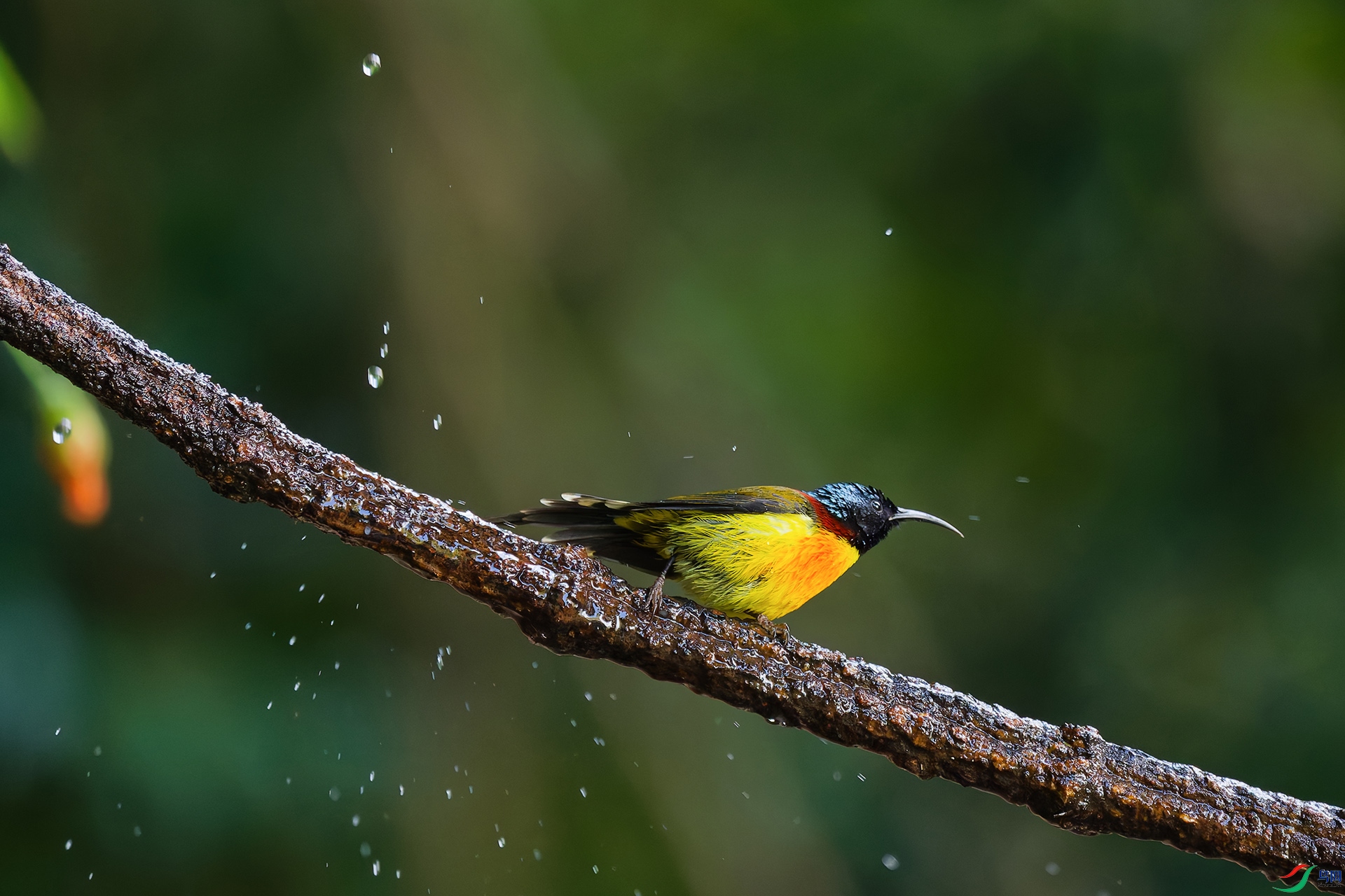 DSC_7076_DxO_DxOa.jpg