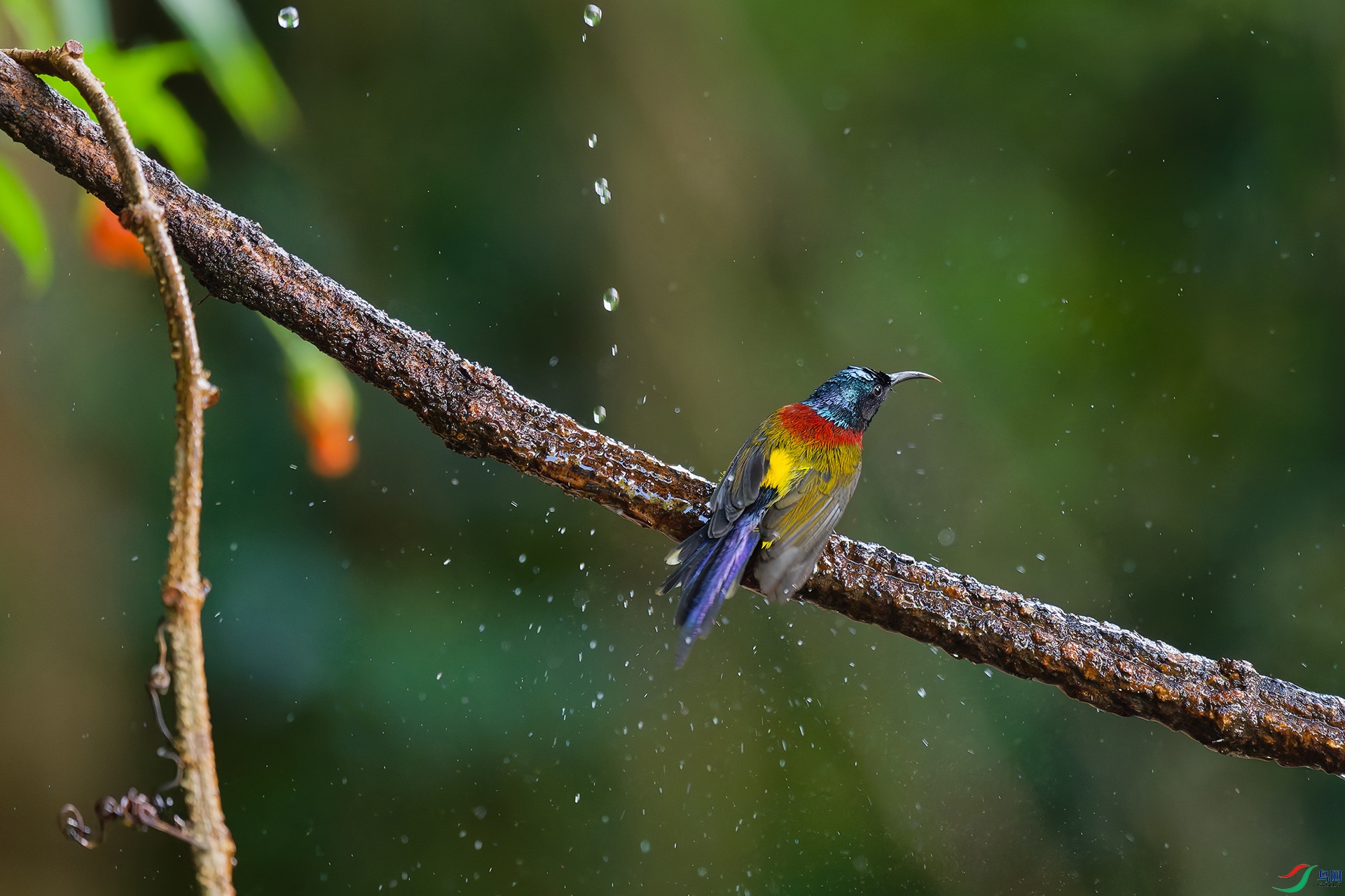 DSC_6983_DxO_DxO.jpga.jpg