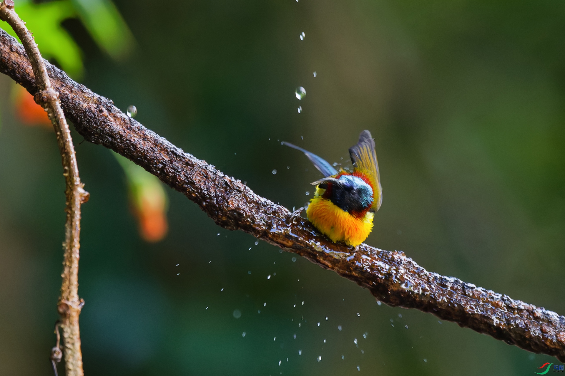 DSC_6930_DxO_DxOa.jpg