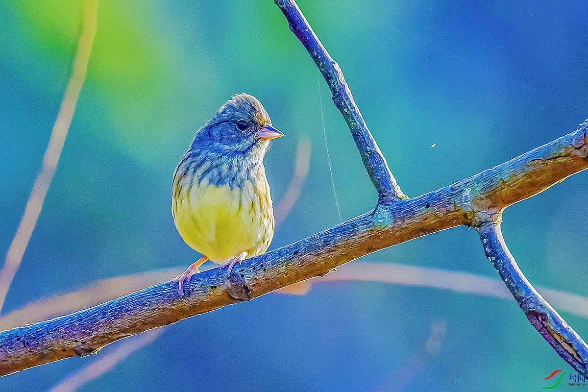 DSC_5715.jpg