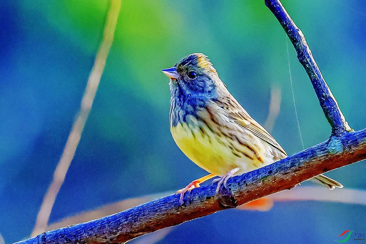 DSC_5713.jpg