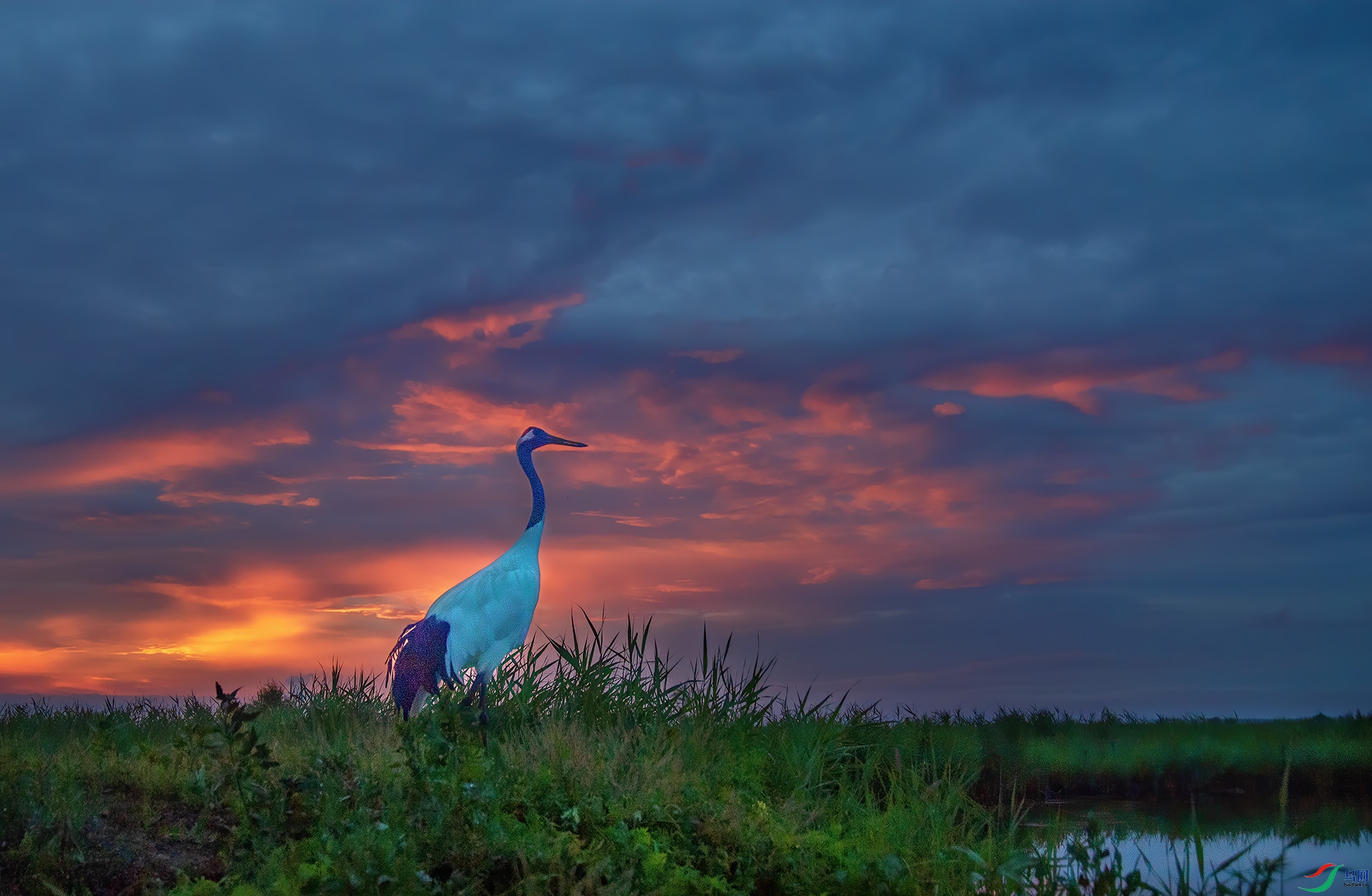 DSC_2497 -1.jpg