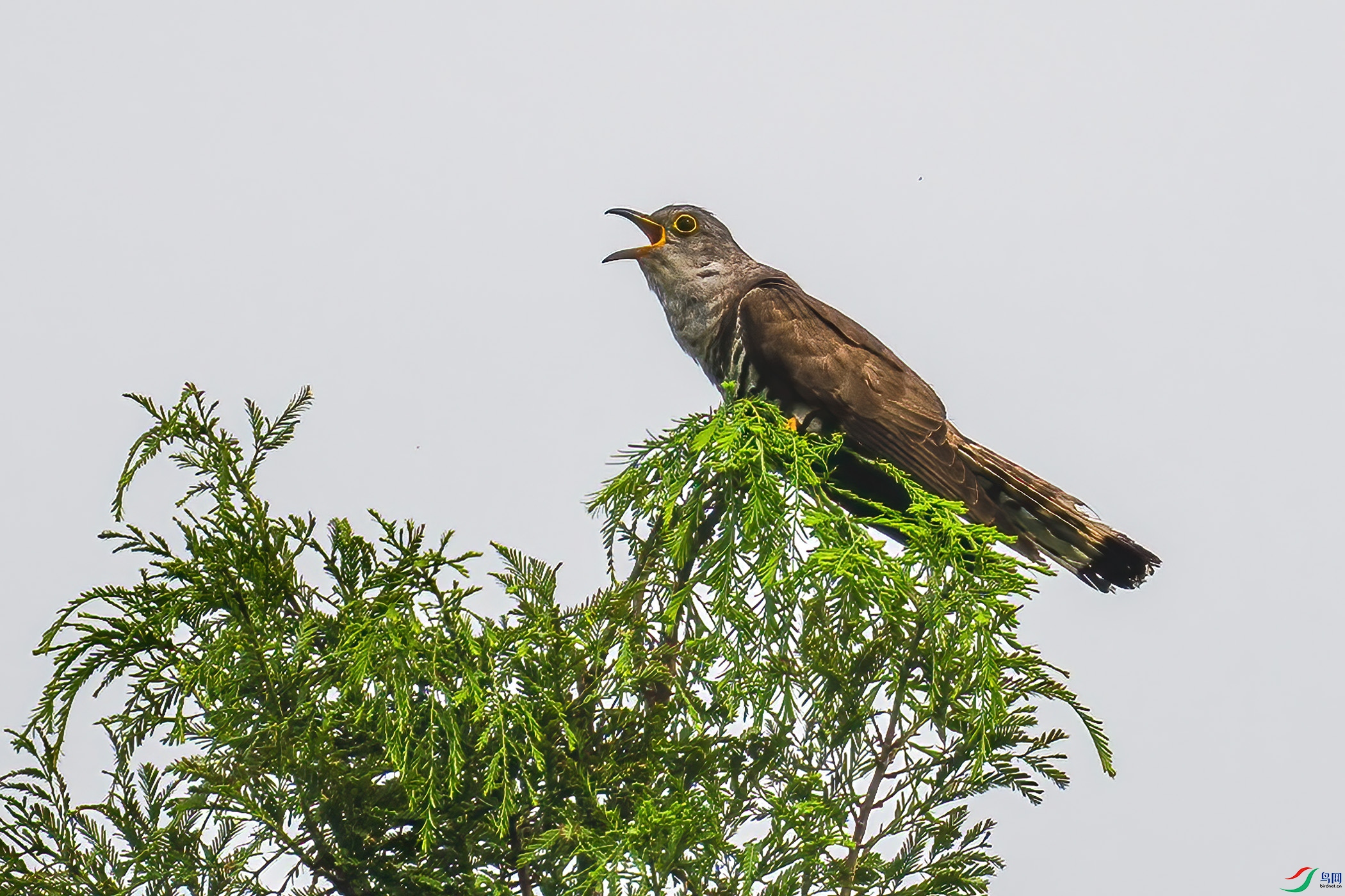 DSC_9763.jpg