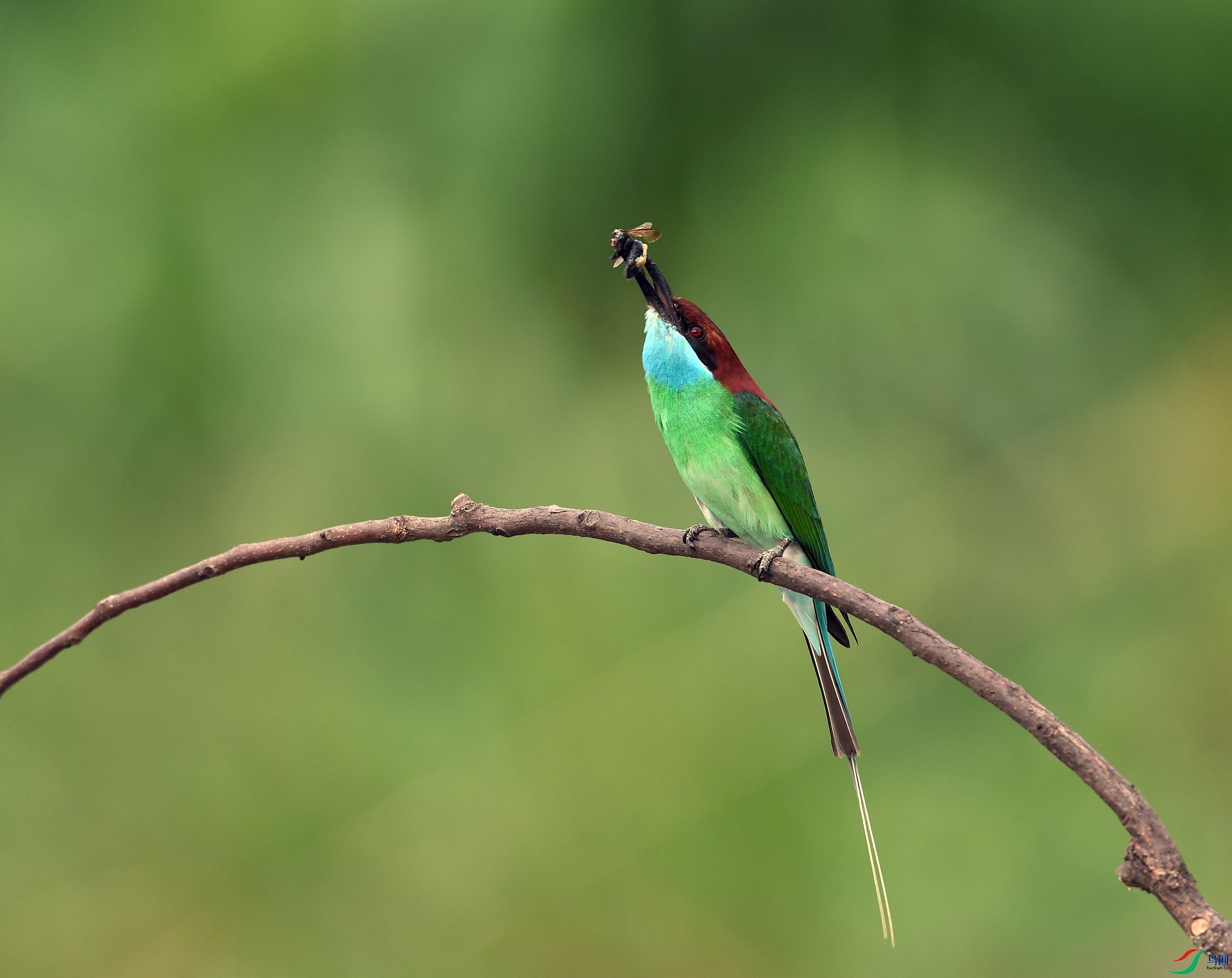 DSC_1074.jpg