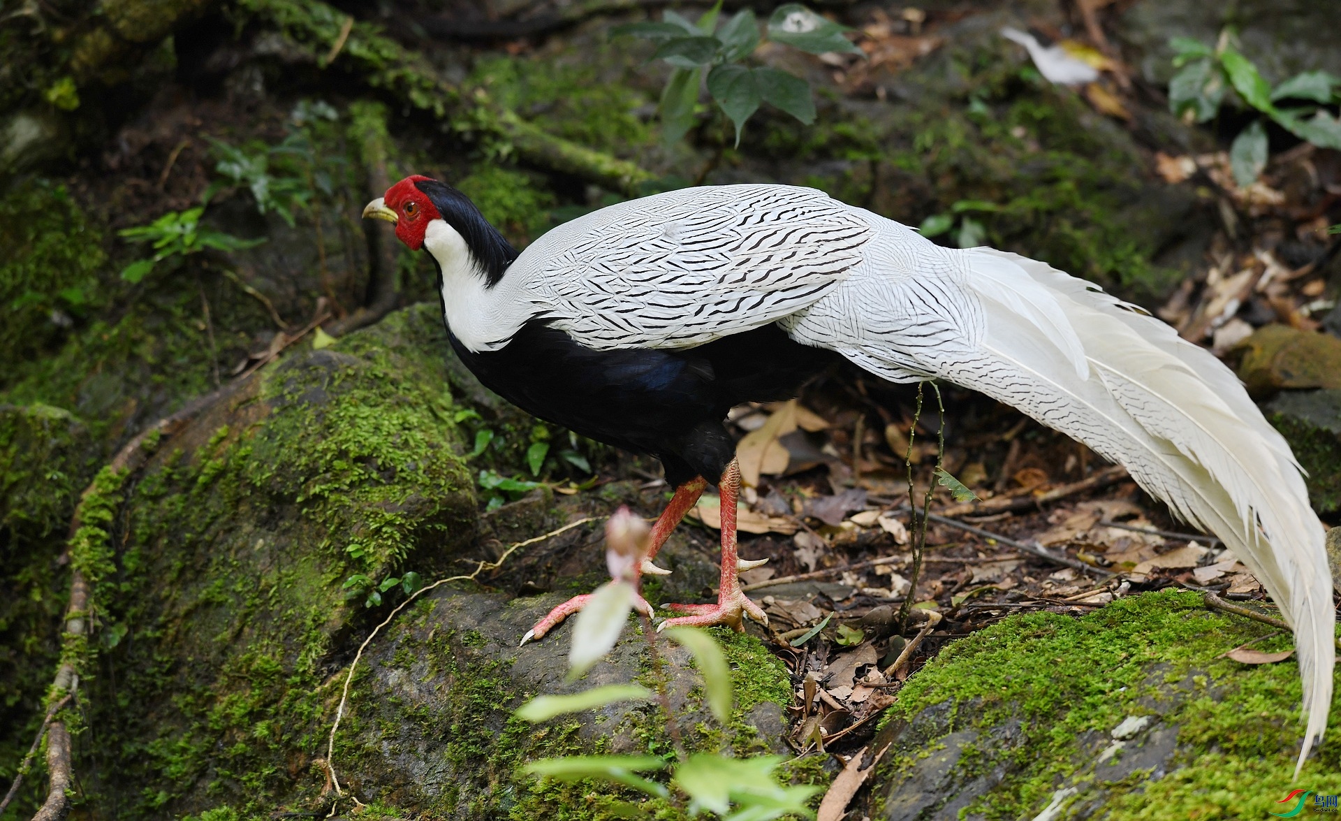 DSC_3492.jpg