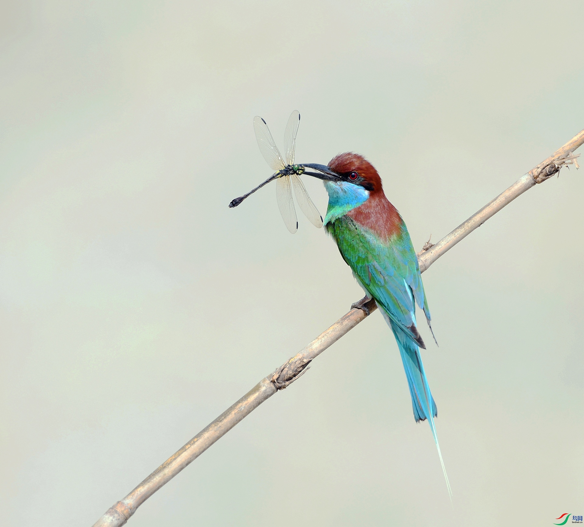 DSC_0035.jpg