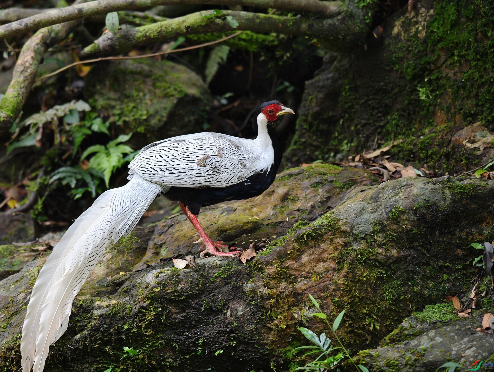 DSC_3424.jpg