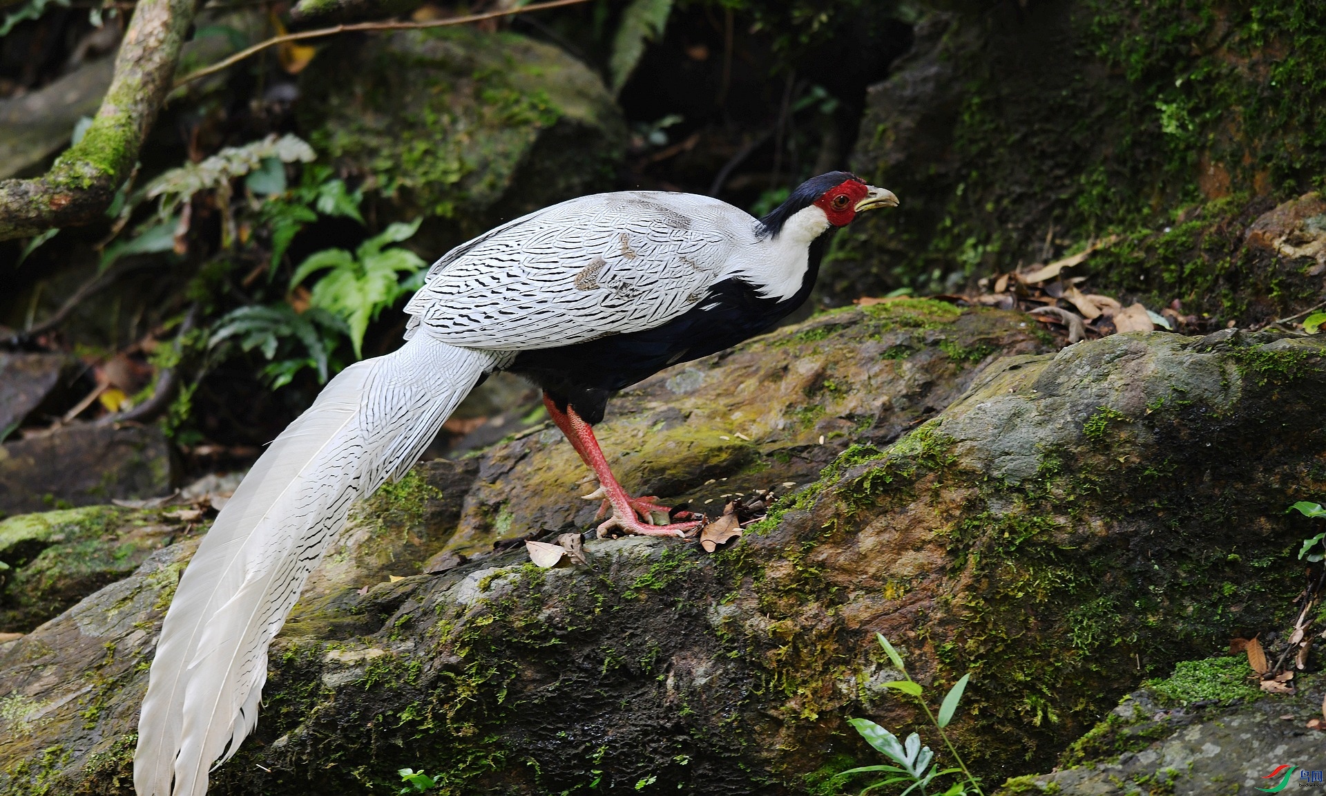 DSC_3422.jpg