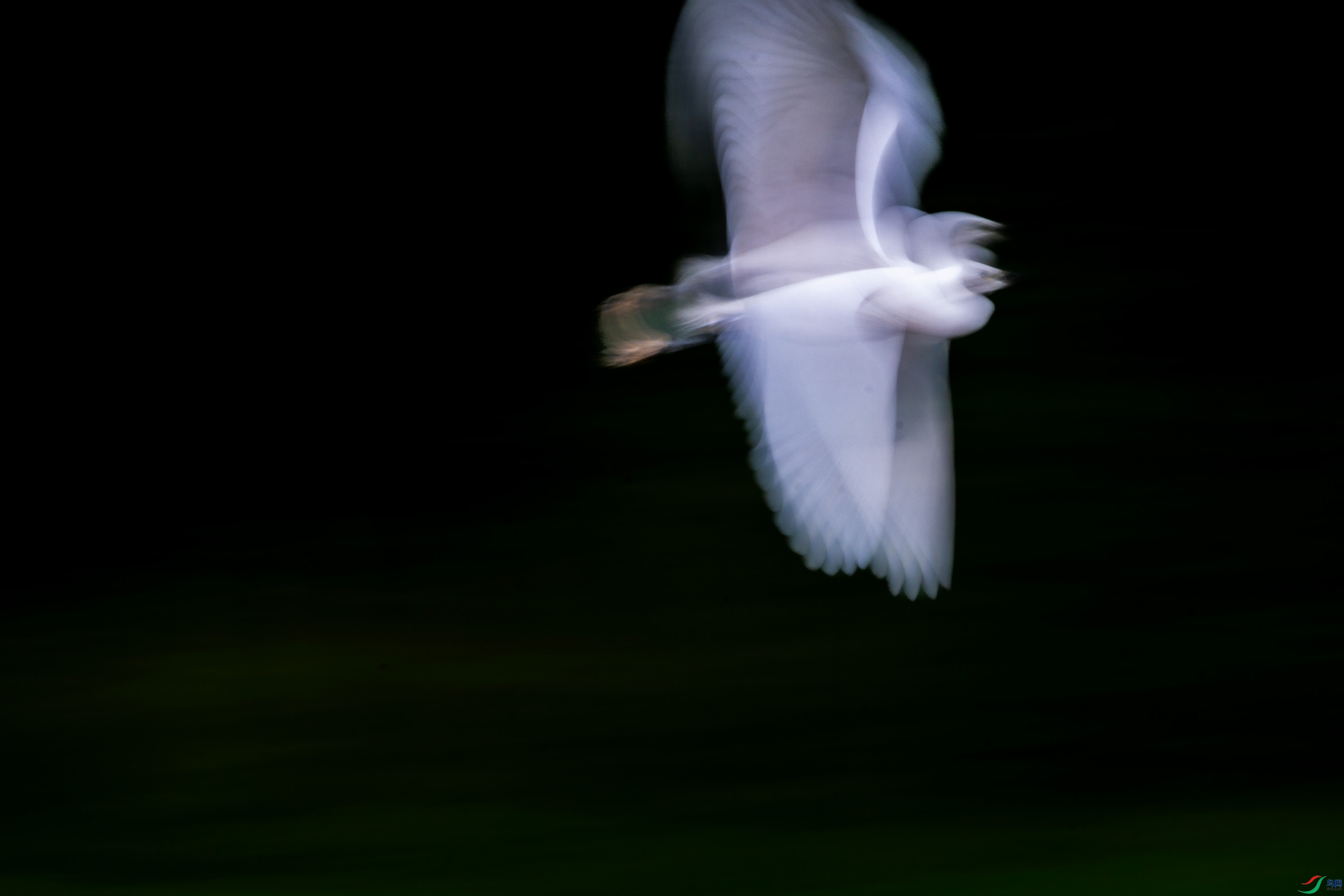 IMG_7360.jpg