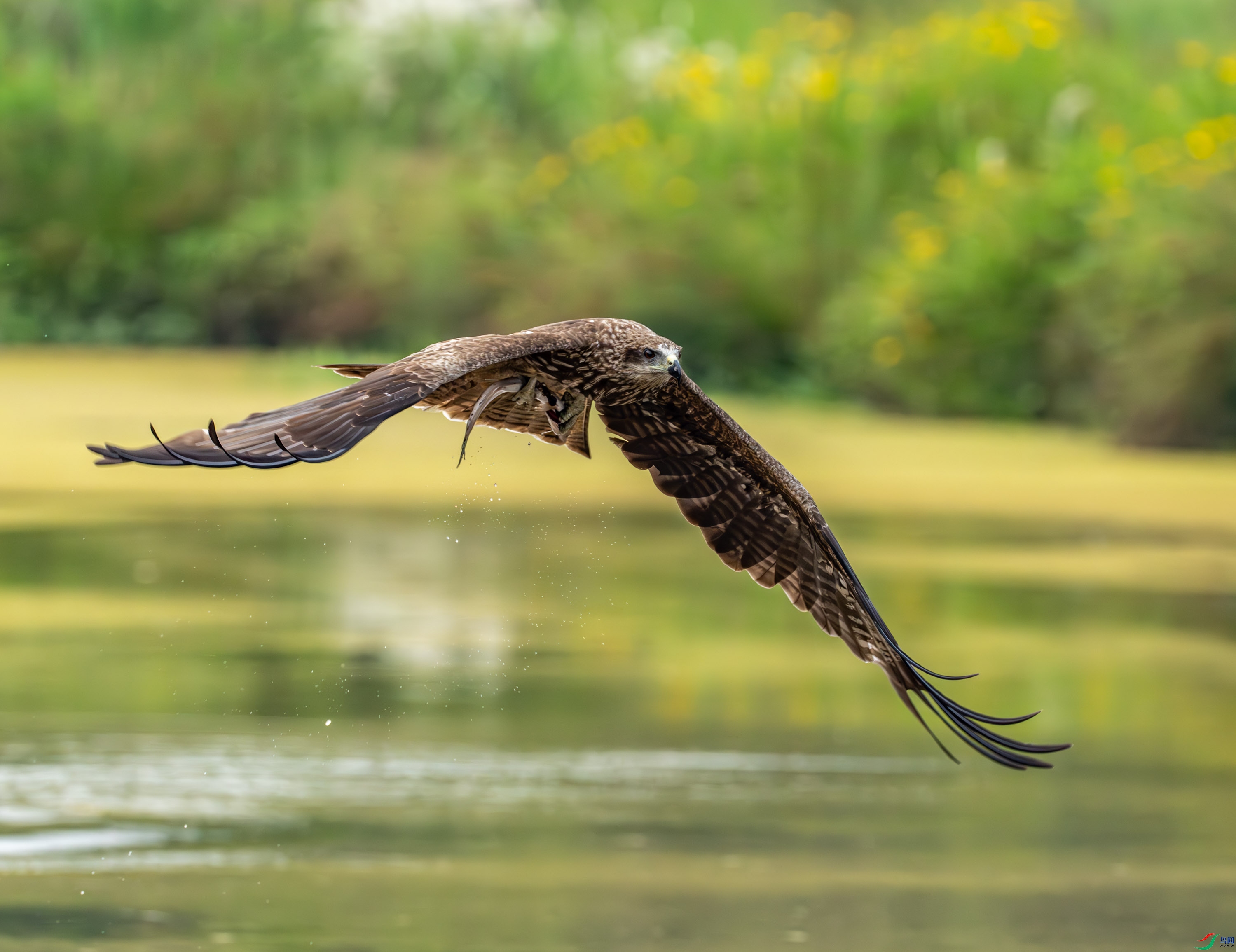 ��� (16 - 253).jpg