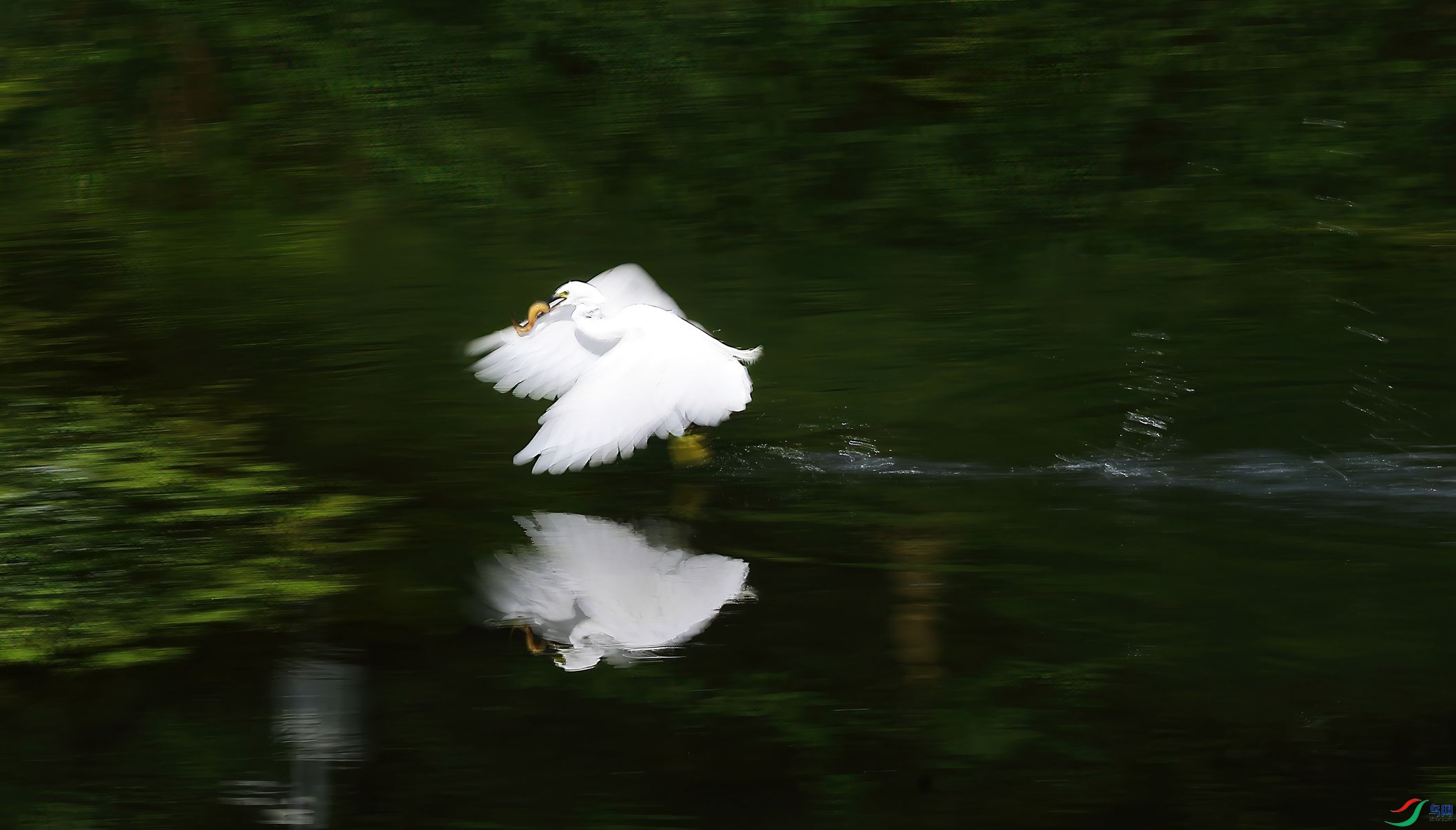 4R6A4416-SharpenAI-Motion.jpg