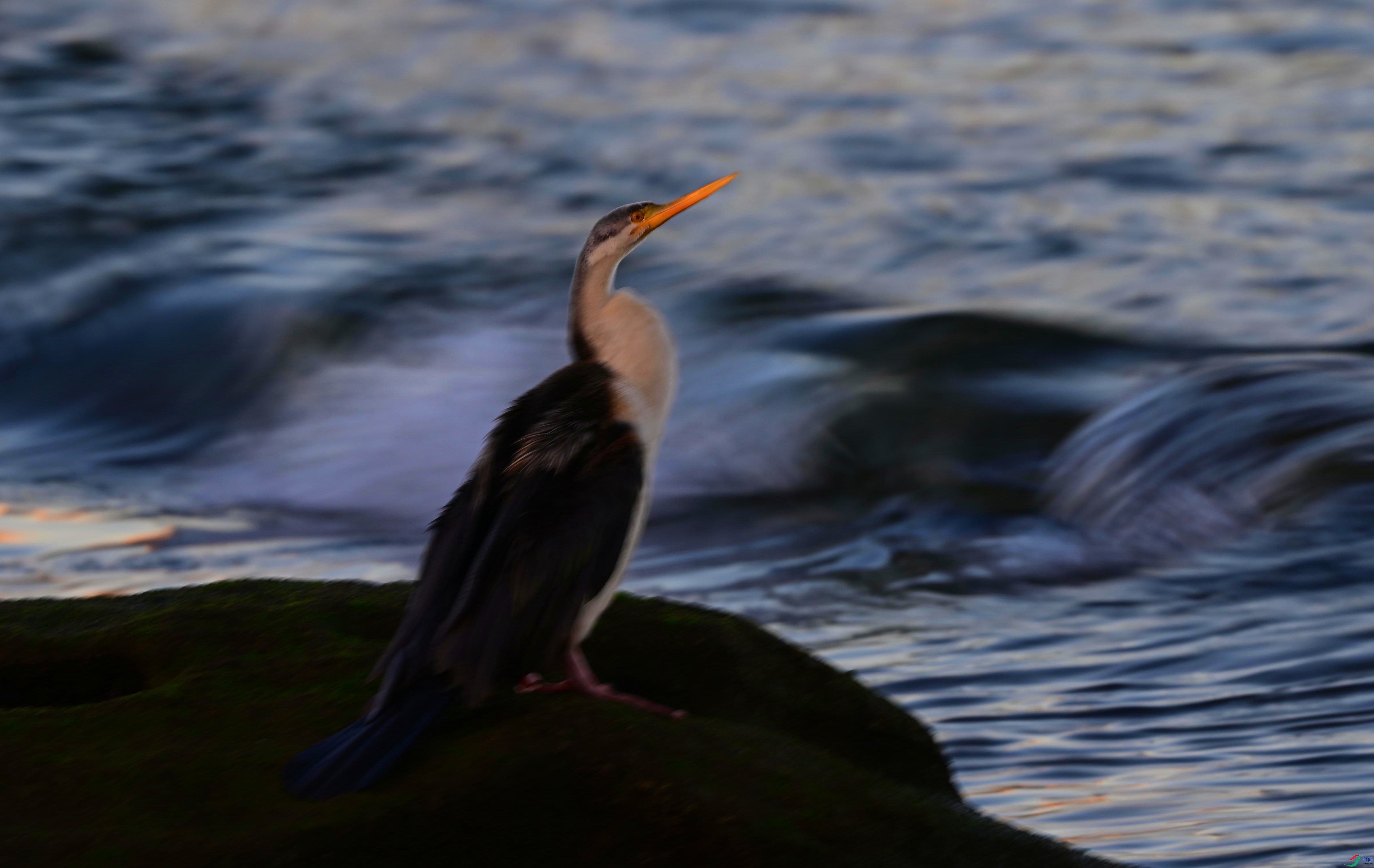 DSC_2844_��ͼ��_����.jpg