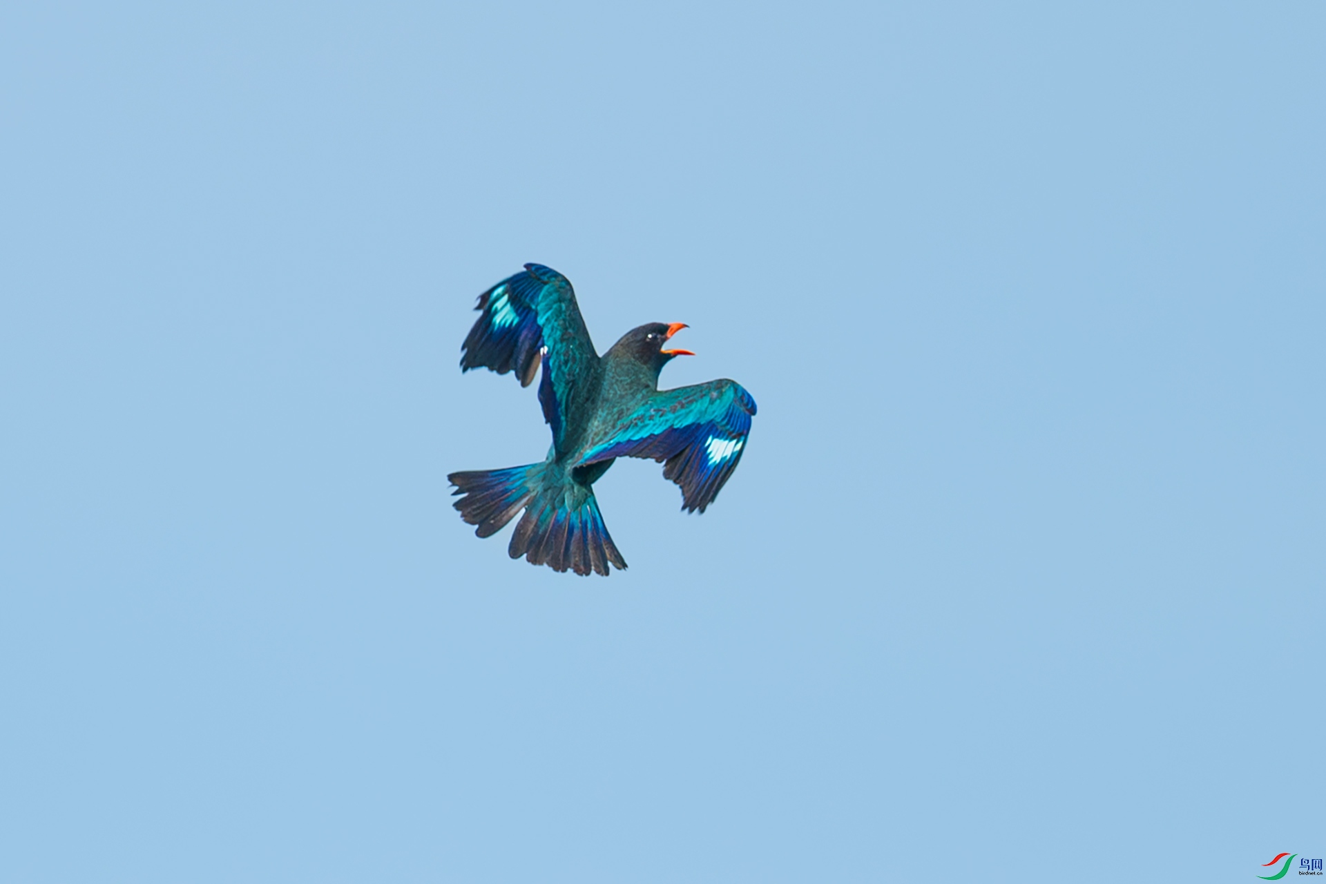 DSC_4058.jpg