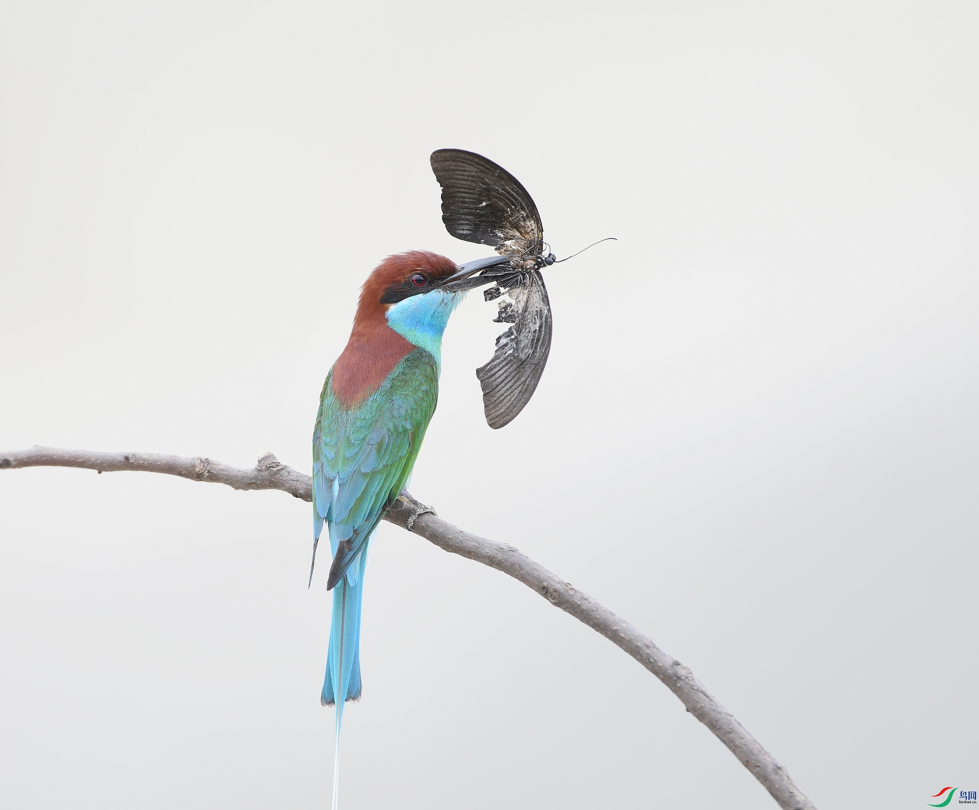 DSC_1821.jpg