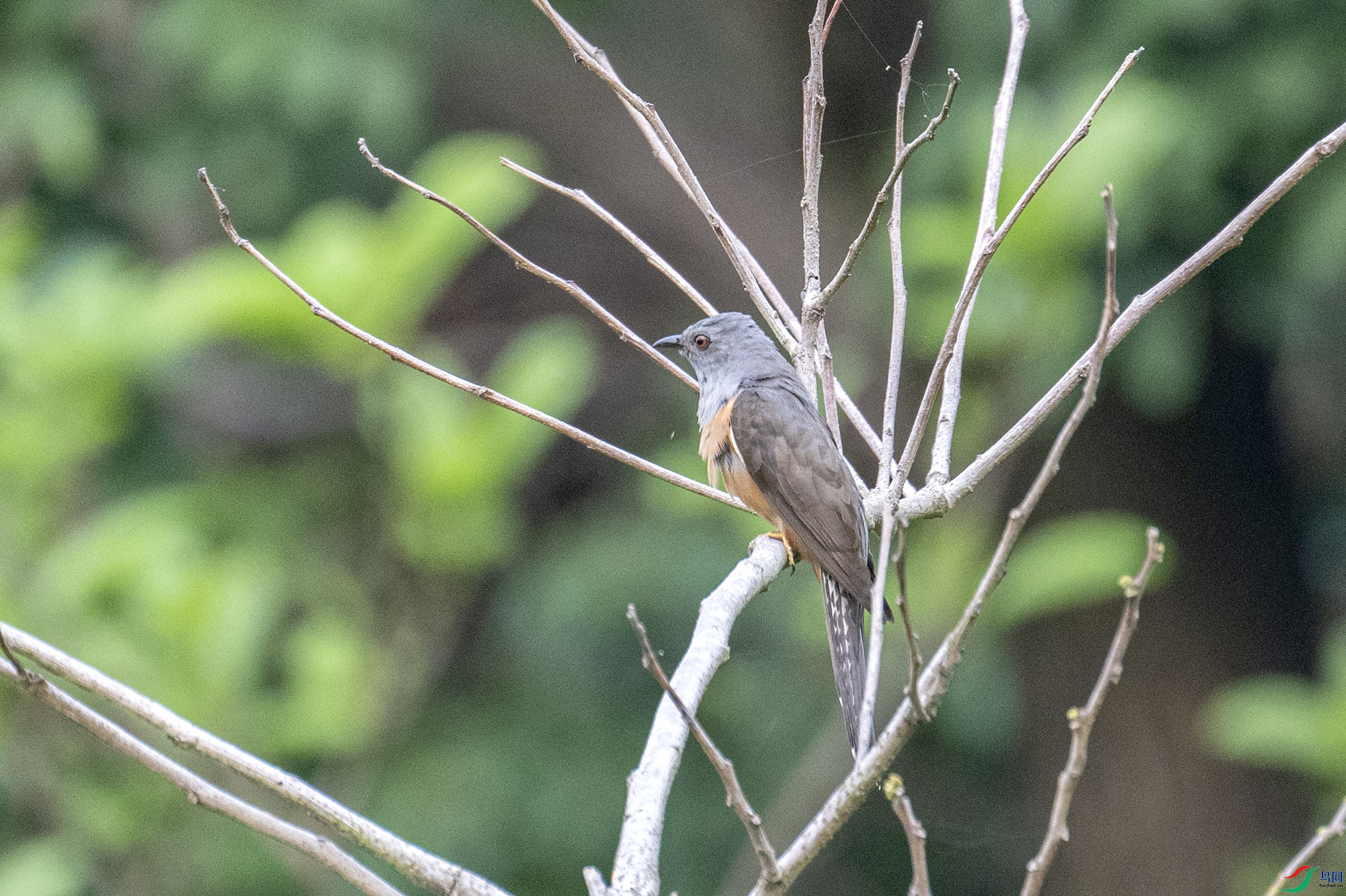 DSC_7790.jpg